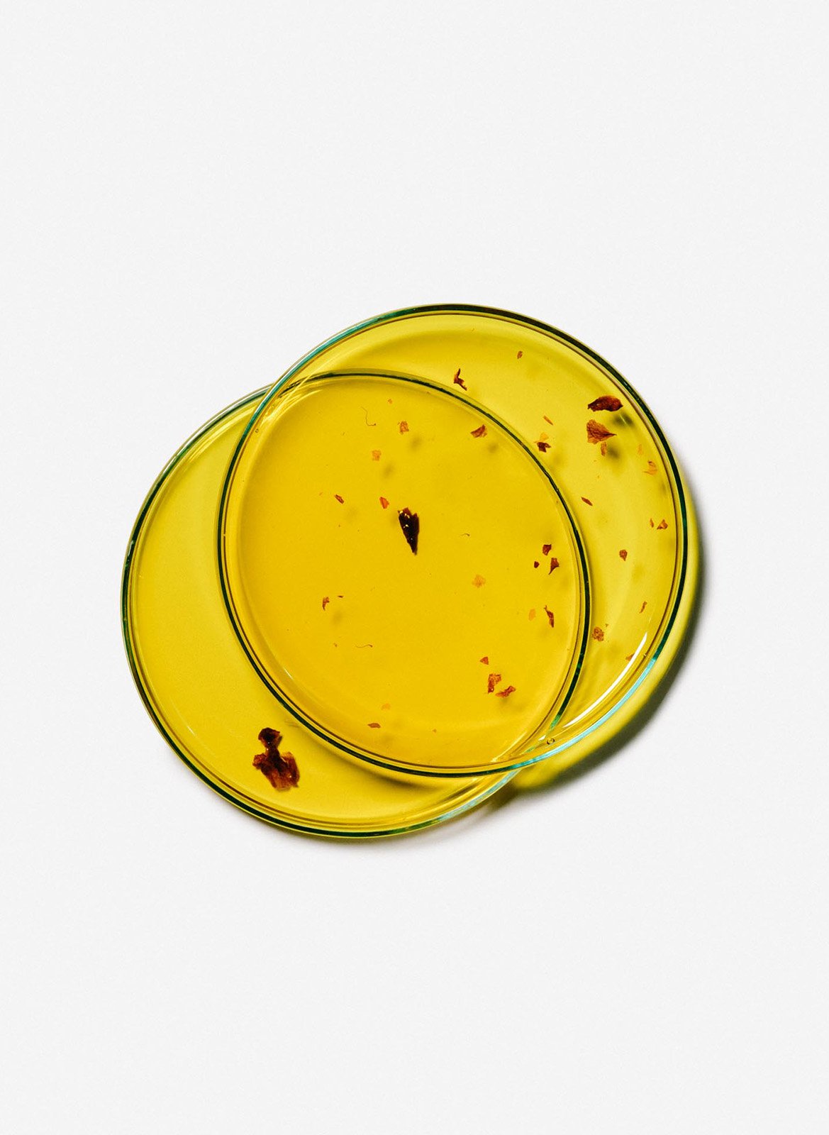 Nourishing Rose Petal Oil ALAENA No color