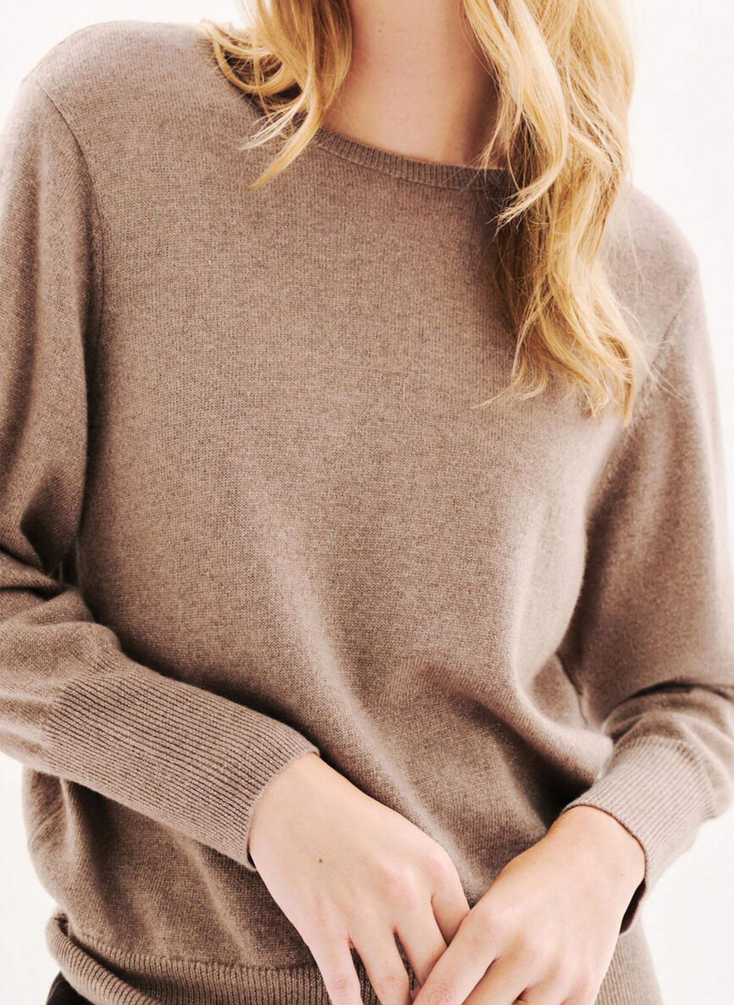 Round-neck cashmere-blend sweater CAROLL Brown