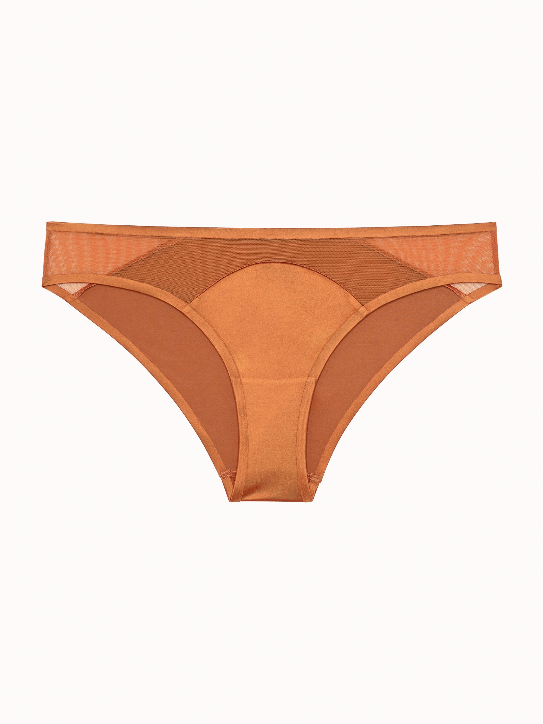 Dark Fold panties PASSIONATA Beige