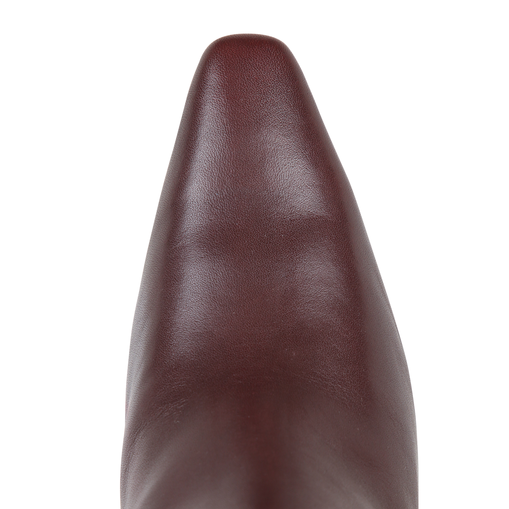 Ary - Lederstiefel SAM EDELMAN Braun