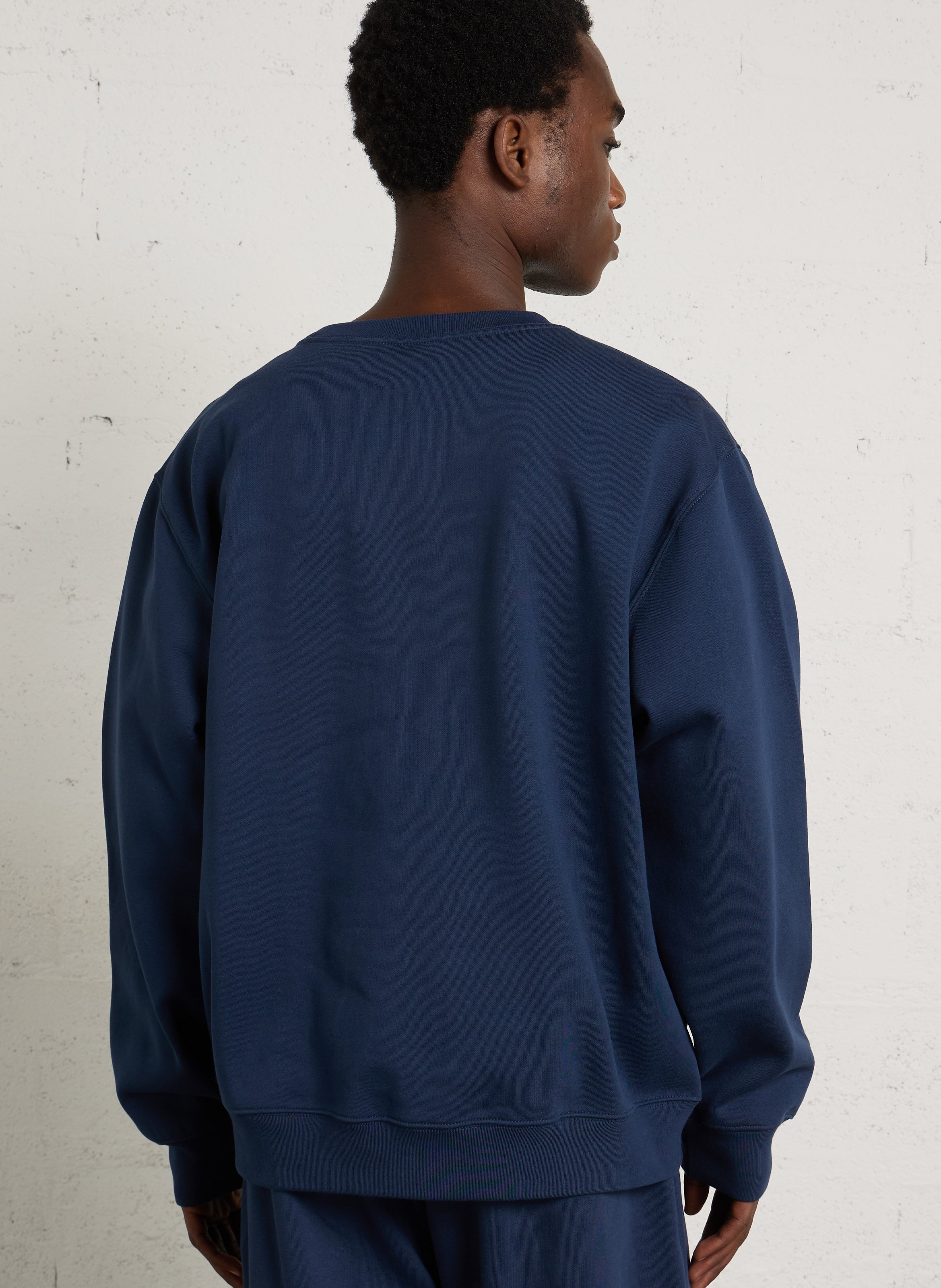 Casual sweatshirt in blended cotton THE NORTH FACE Blue