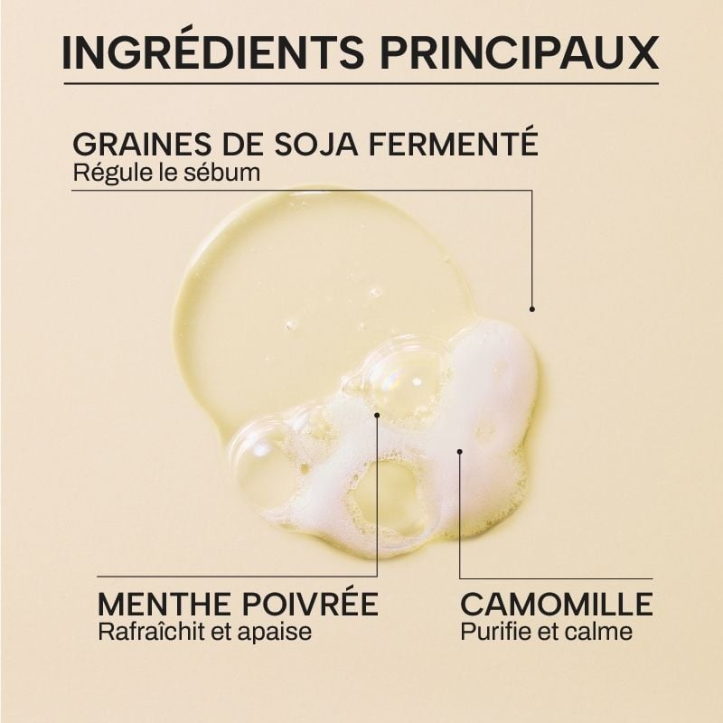 SHAMPOO FOR OILY HAIR WITH FERMENTED ORGANIC SEEDS WHAMISA No color