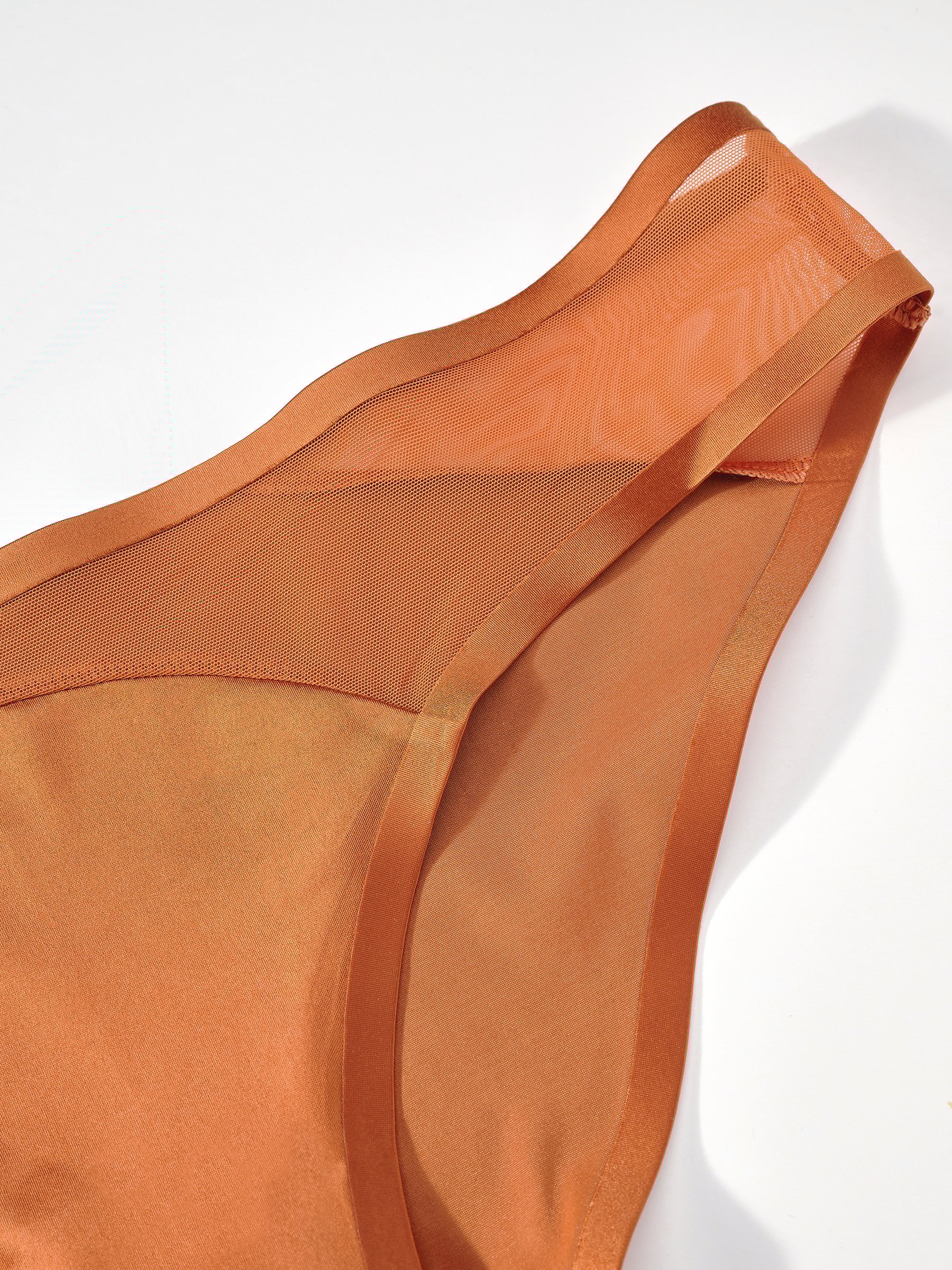 Dark Fold panties PASSIONATA Beige