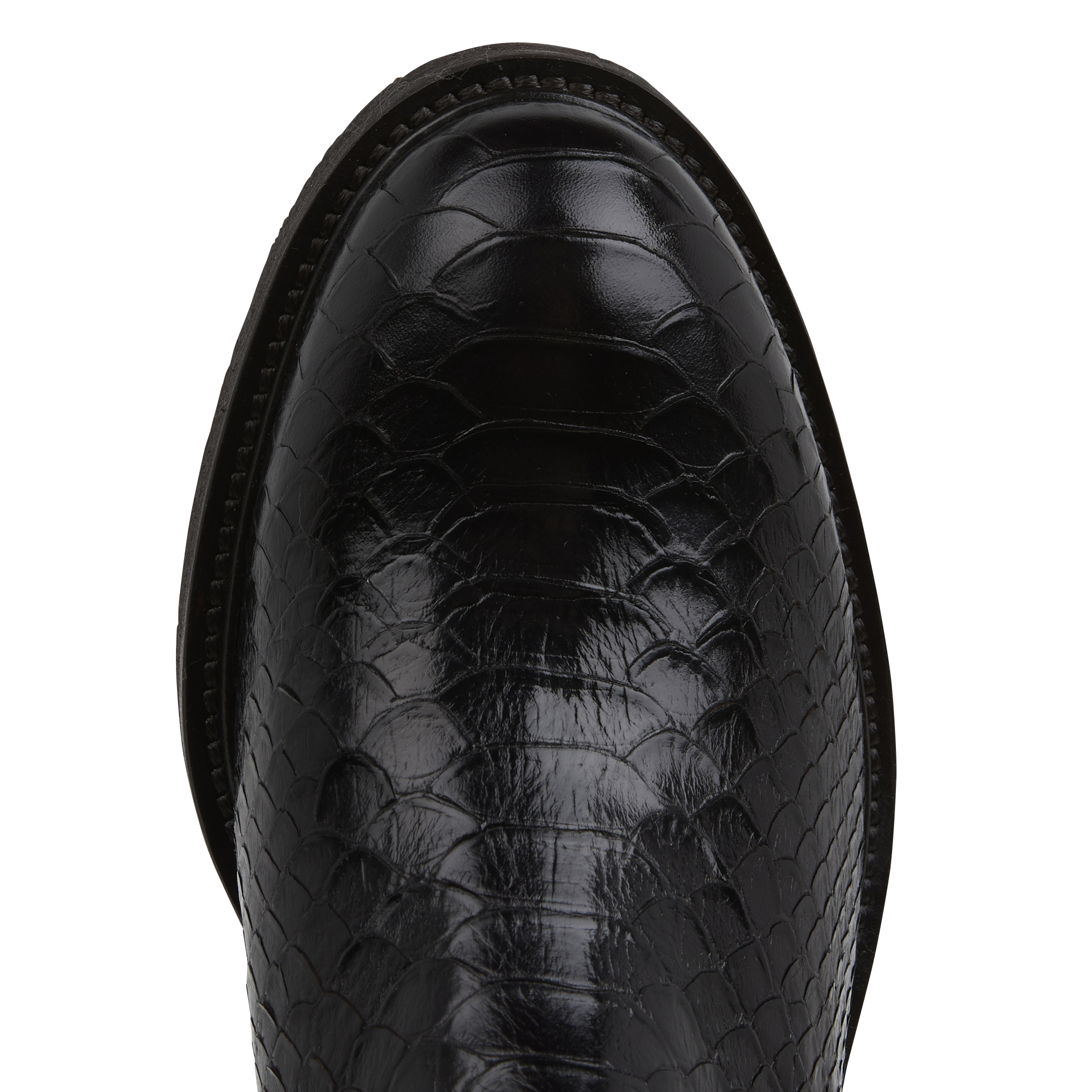 Ary - Lederstiefel BILLI BI Violett