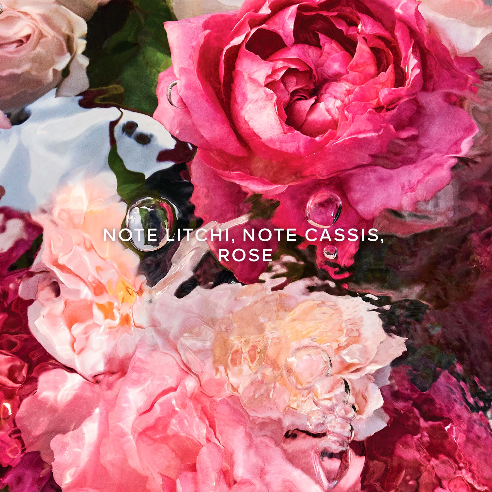 Aqua Allegoria Rosa Rossa GUERLAIN No color