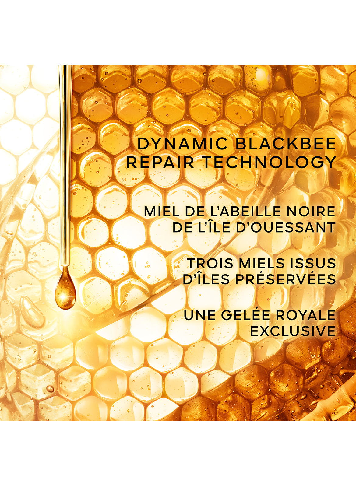 ABEILLE ROYALE Clarify & Repair cream - refill GUERLAIN No color