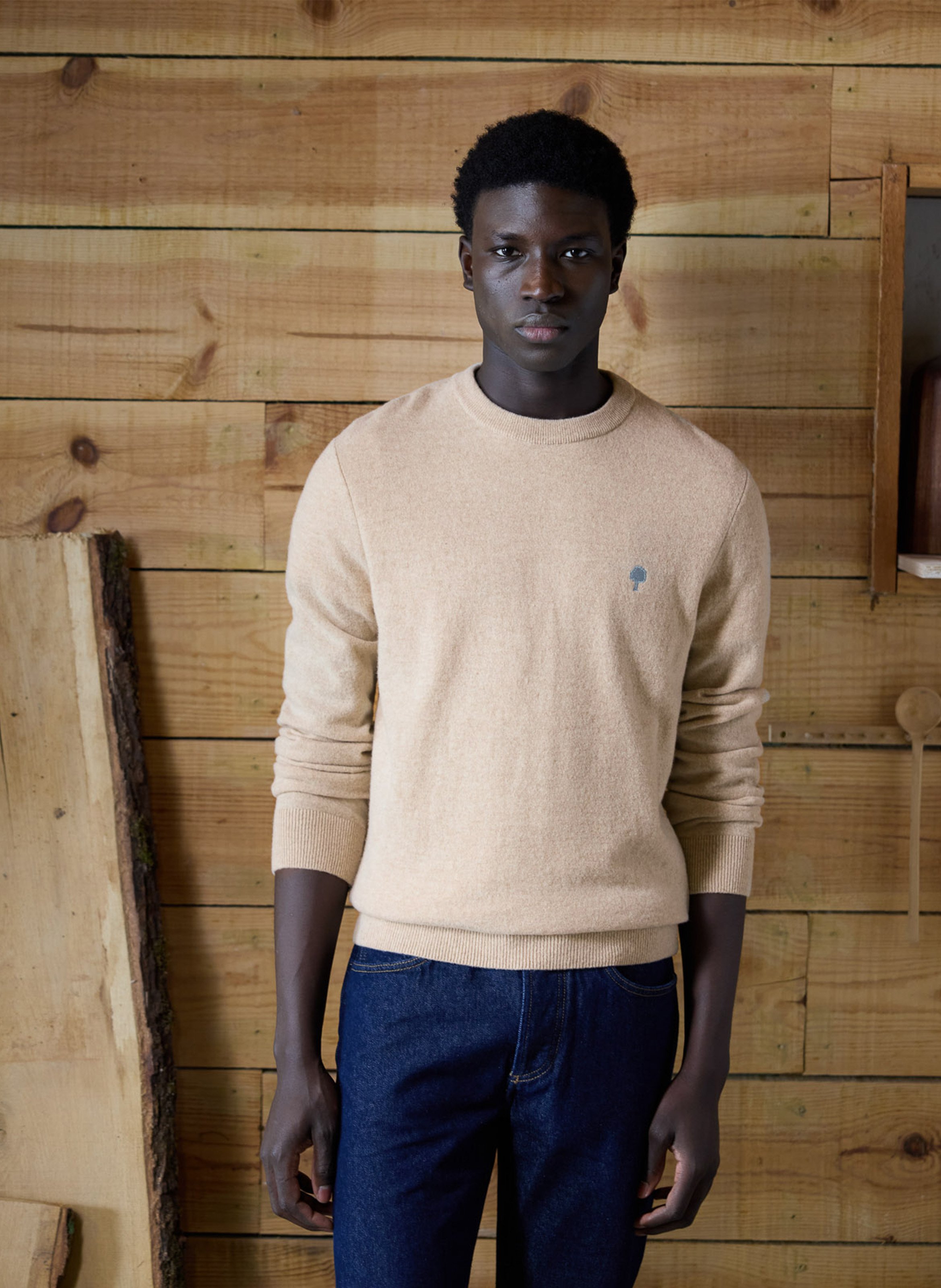 Pull ajusté col rond en laine mélangée FAGUO Beige