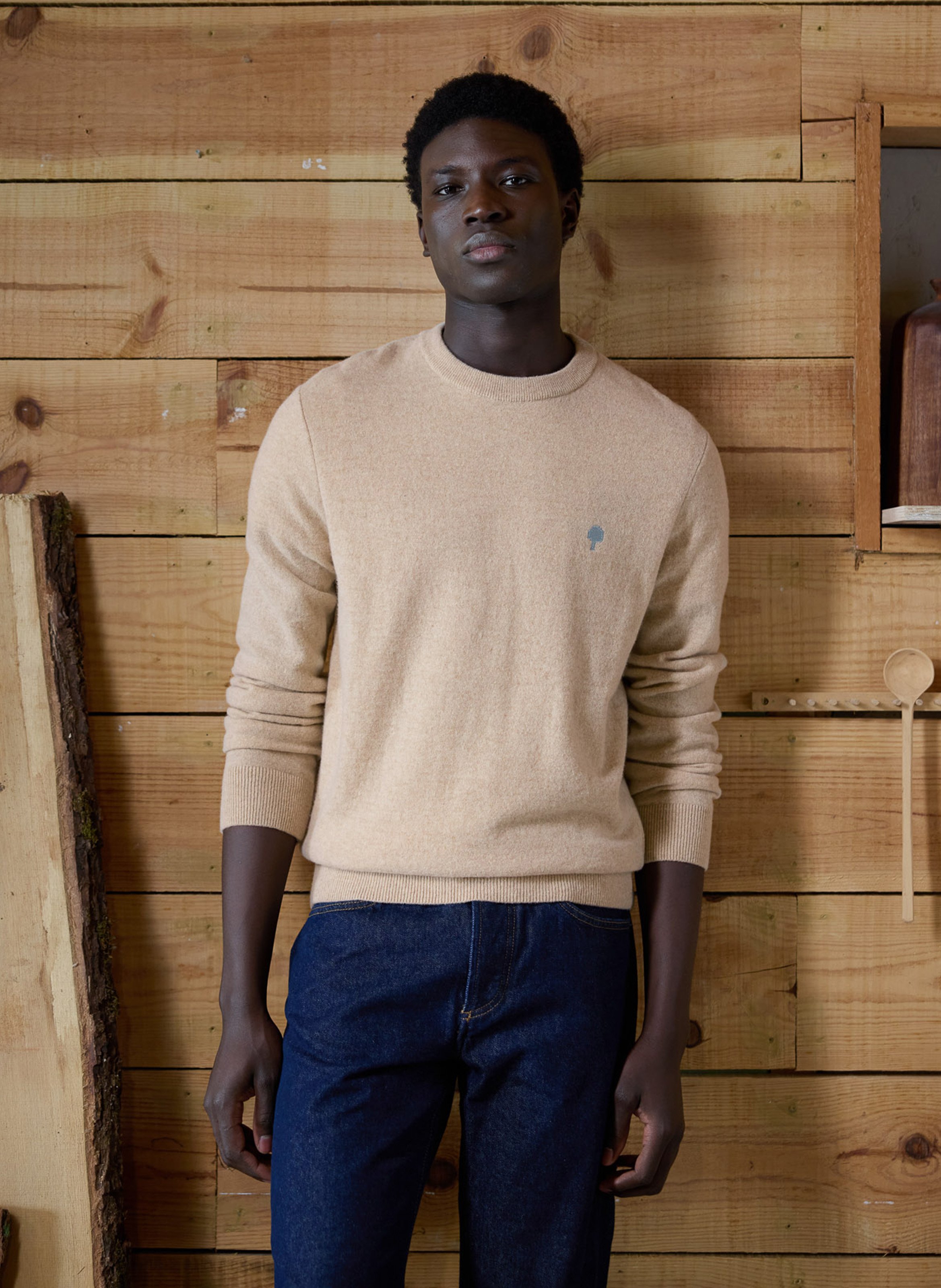 Pull ajusté col rond en laine mélangée FAGUO Beige