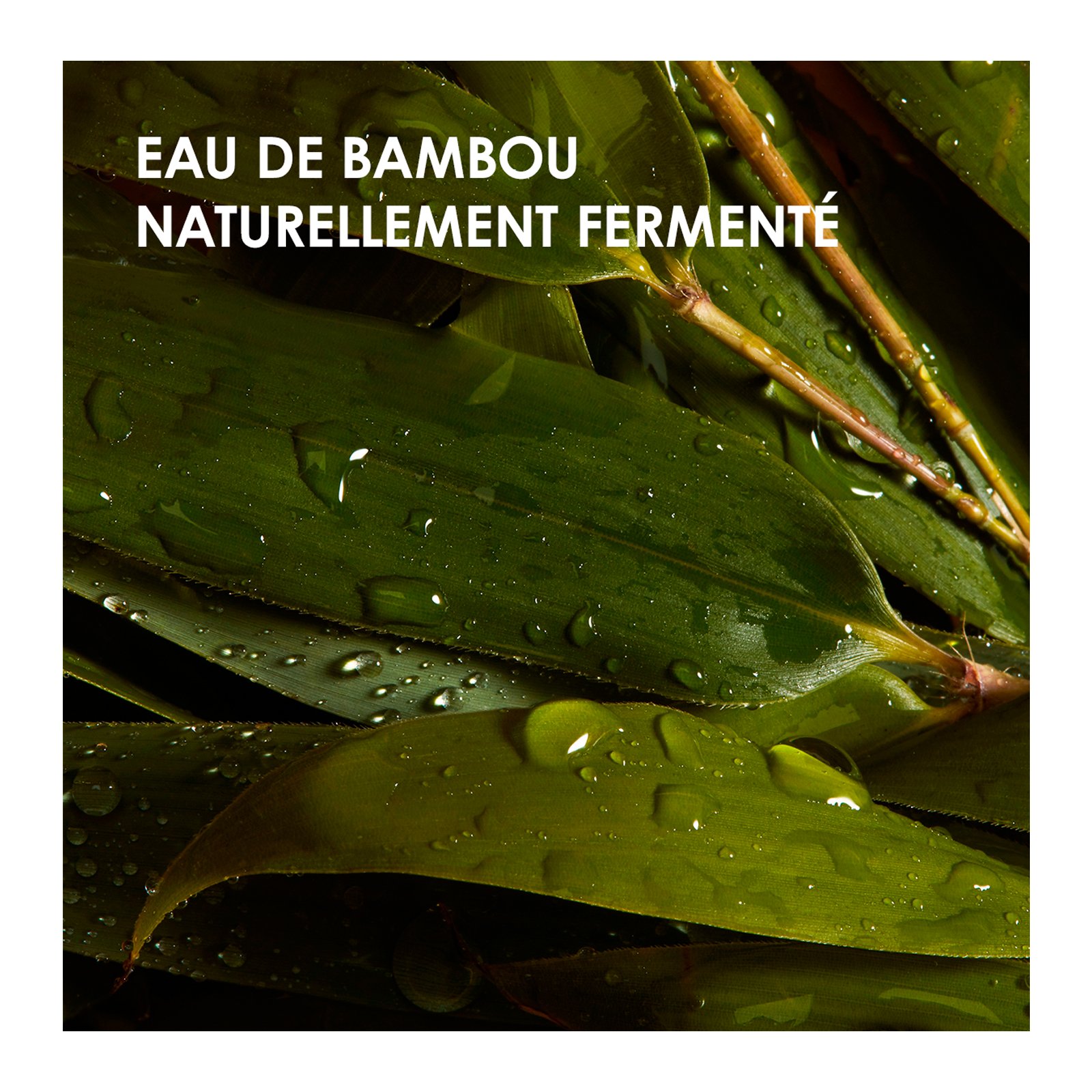 Veganistisch masker voor fijn haar - maakt het haar licht en zacht weDo No color