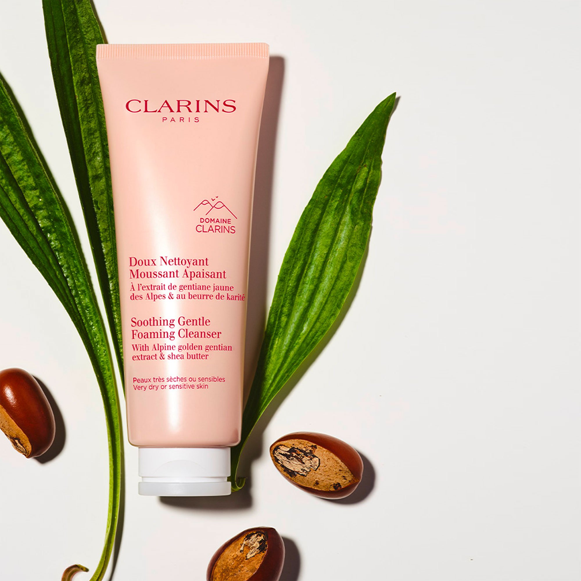 Soothing Gentle Foaming Cleanser Dry or Sensitive Skin CLARINS No color
