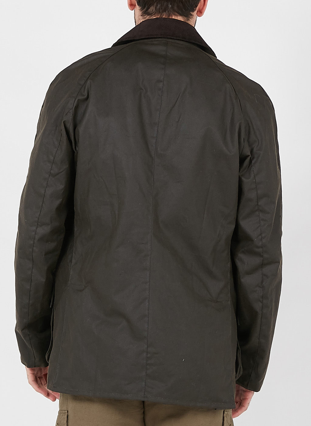 Katoenen jas met klassieke kraag BARBOUR Kaki