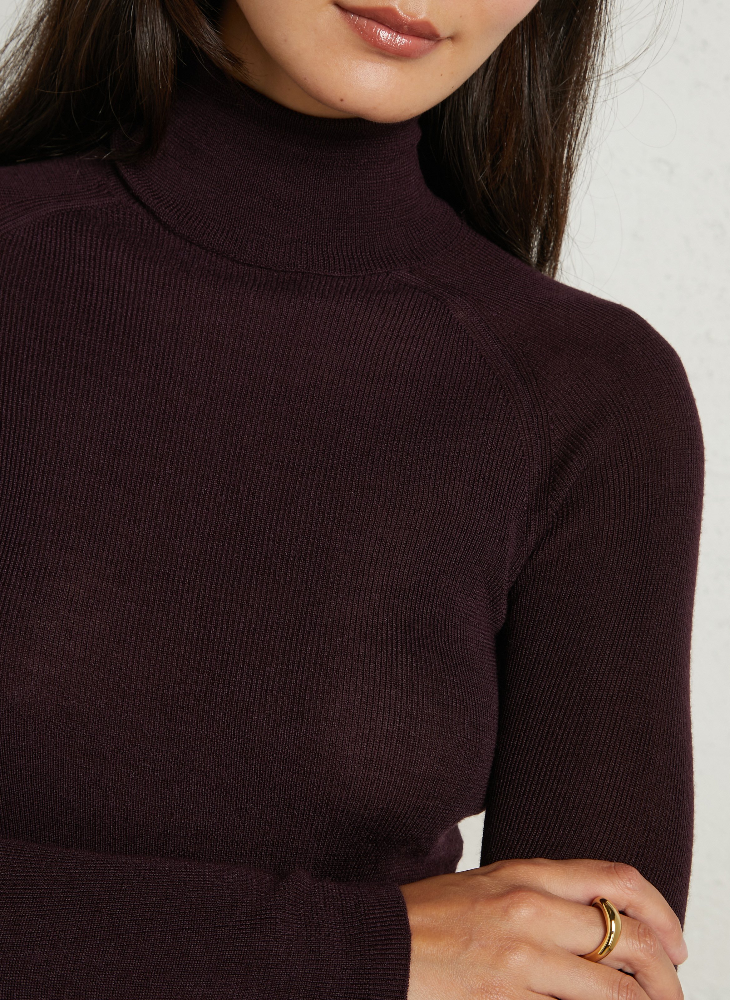 Ribbed turtleneck sweater in merino wool and silk MAJESTIC FILATURES Plums