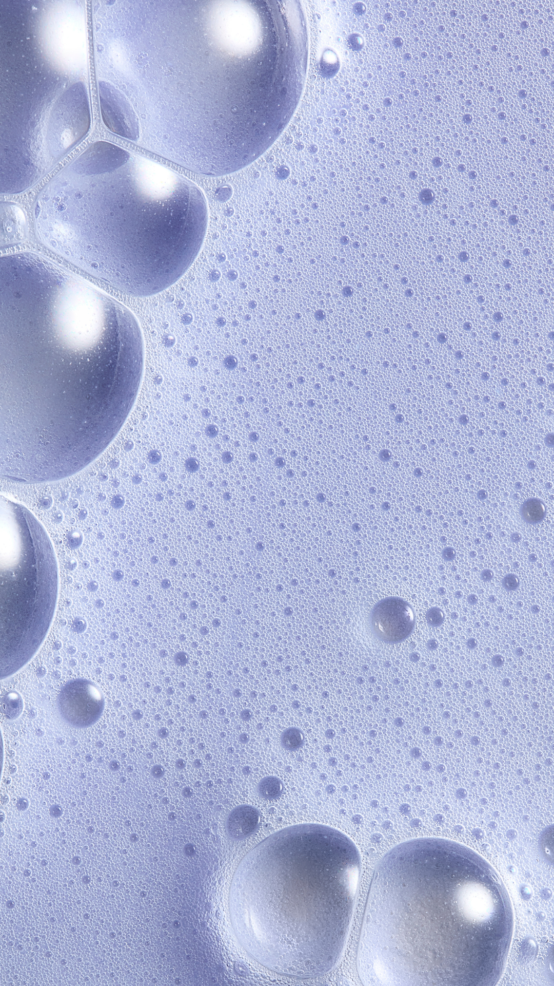 Shampooing Nuanceur de Couleur à l'Iris Florentina CHRISTOPHE ROBIN No color