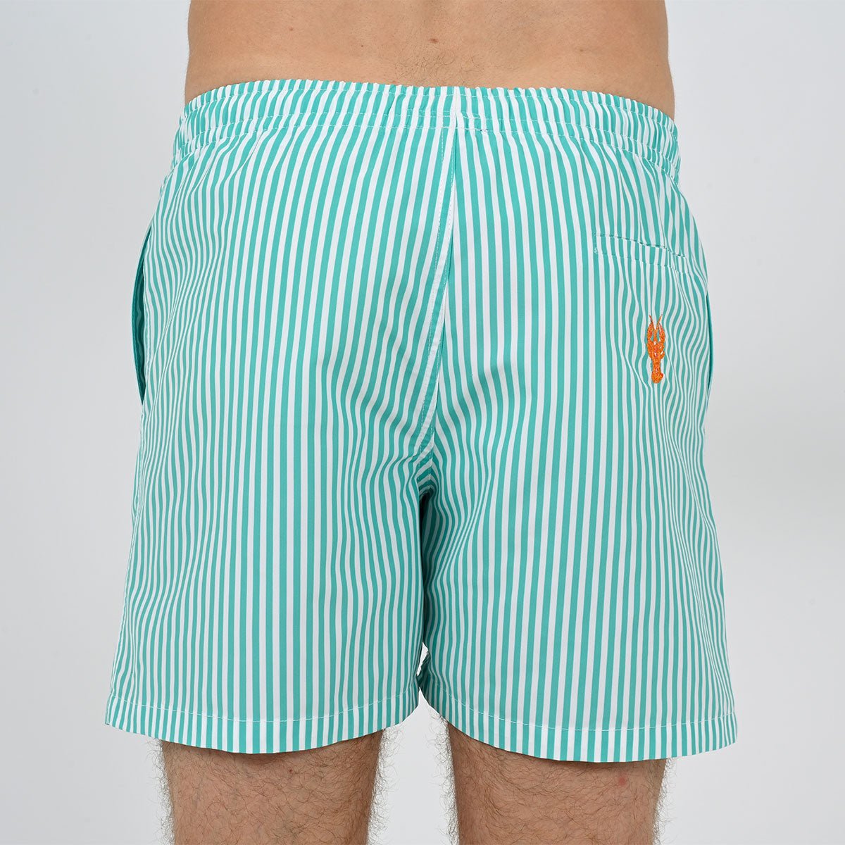 Striped aqua immersed swim shorts VENDREDI SWIMWEAR Green