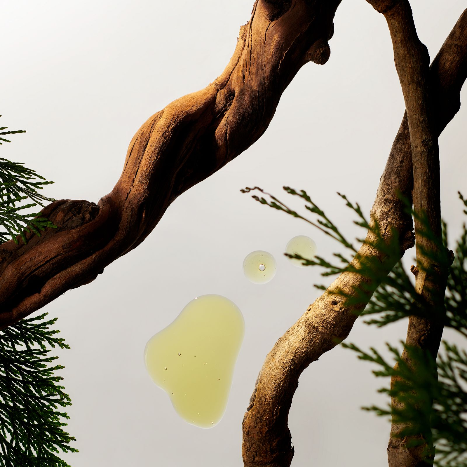 Heren - Doucheschuim RITUALS No color