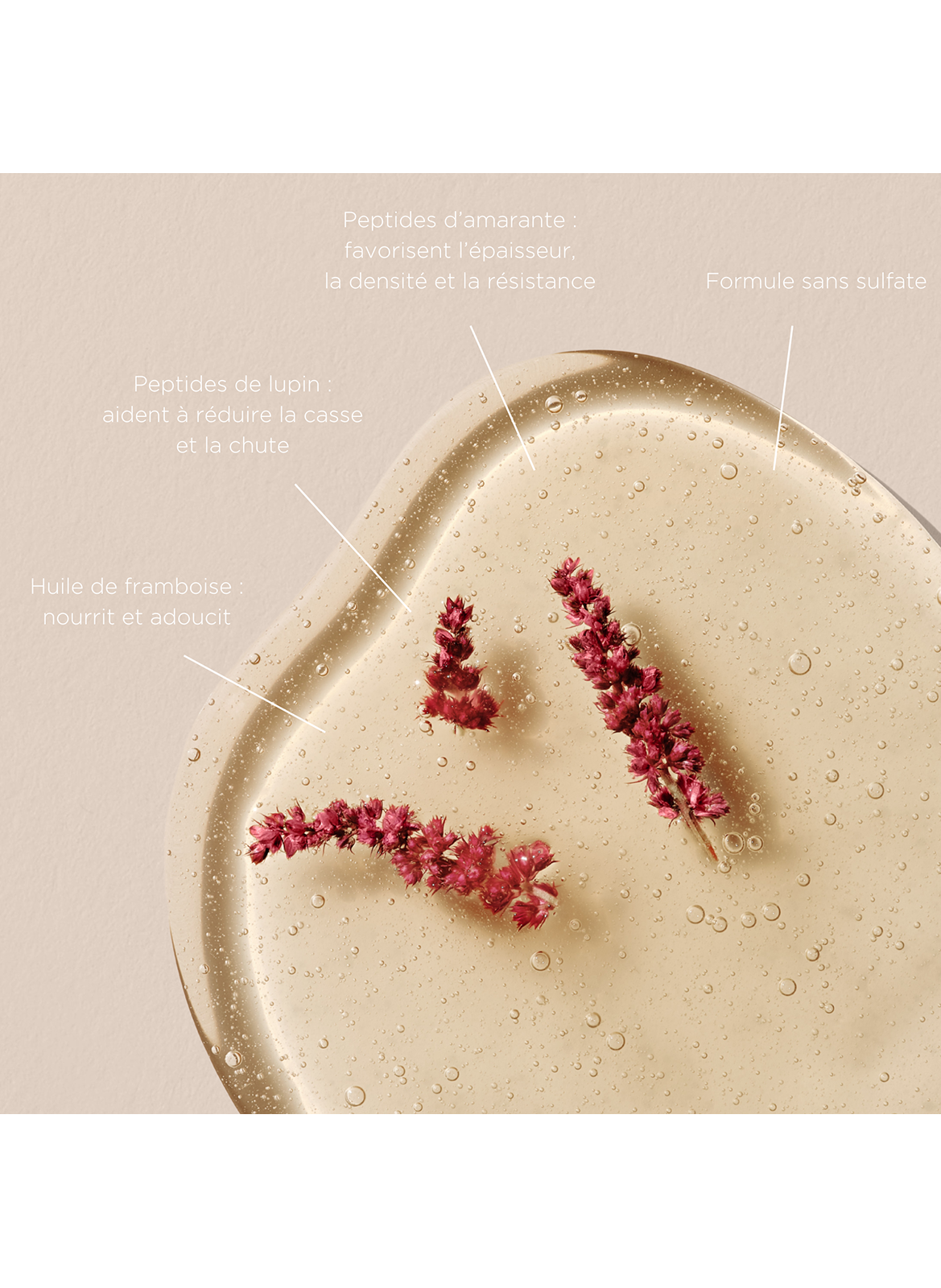 Shampooing Fortifiant aux Peptides d'Amarante CHRISTOPHE ROBIN No color