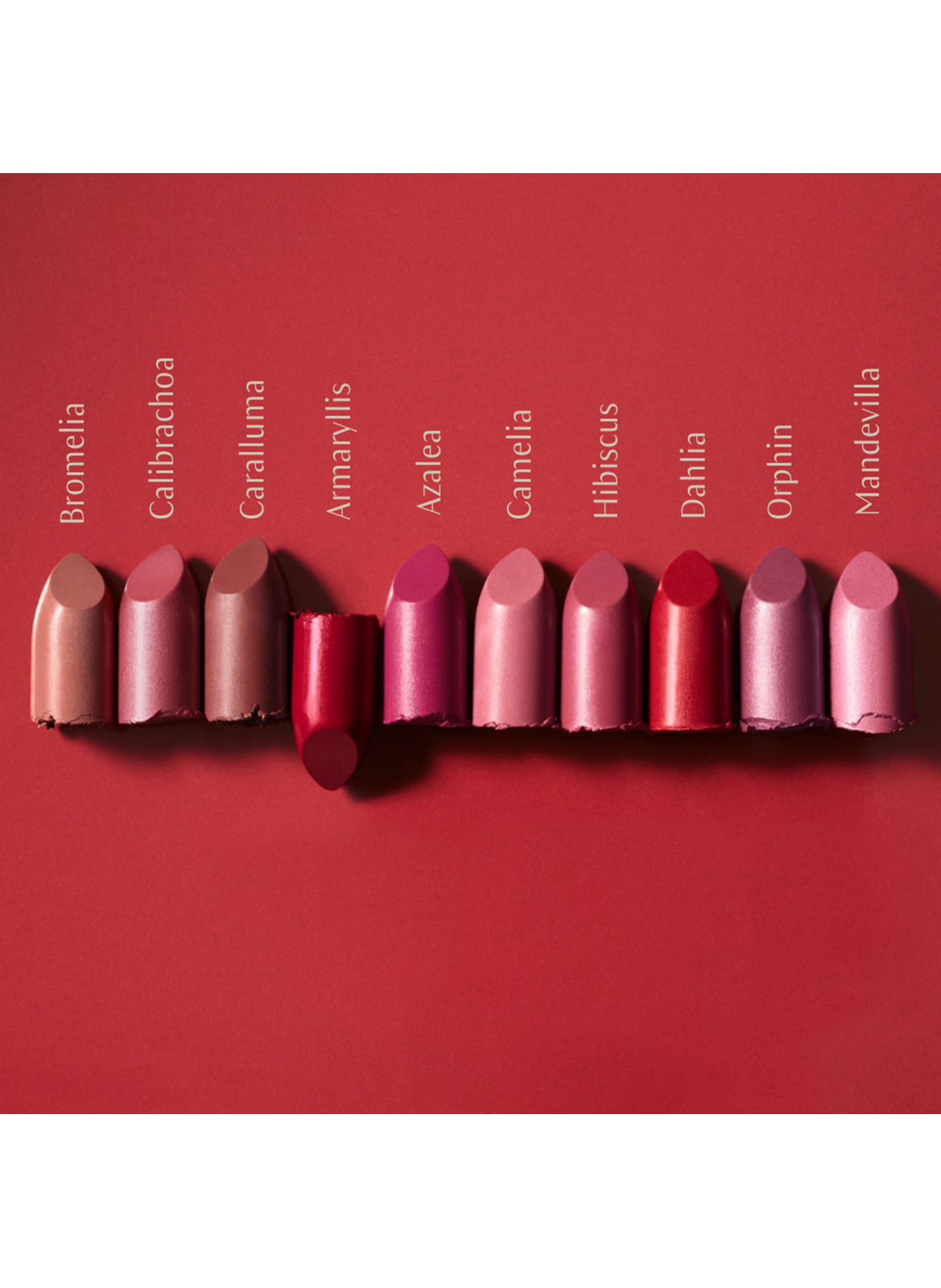 Lipstick DR. HAUSCHKA 13 bromelia