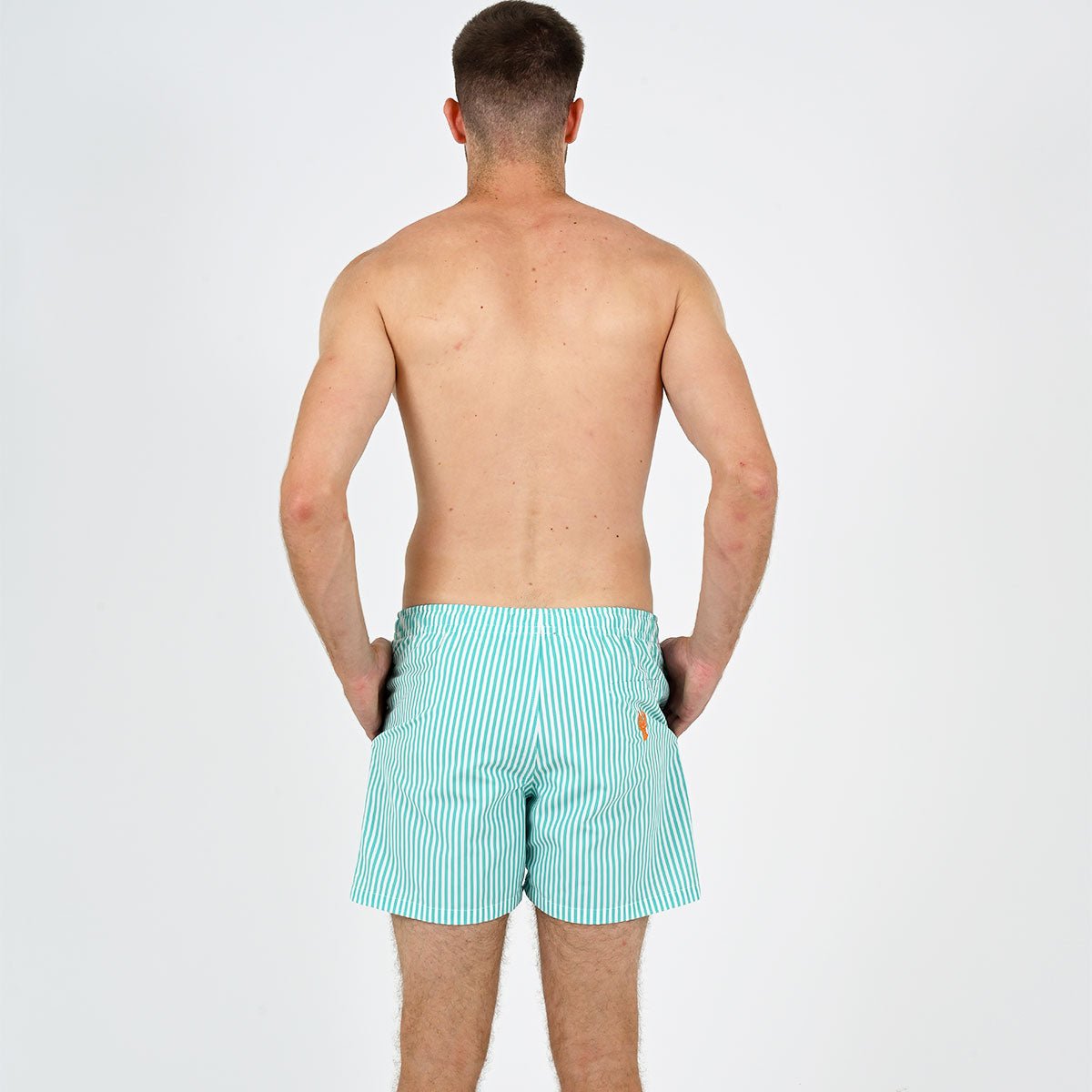 Striped aqua immersed swim shorts VENDREDI SWIMWEAR Green