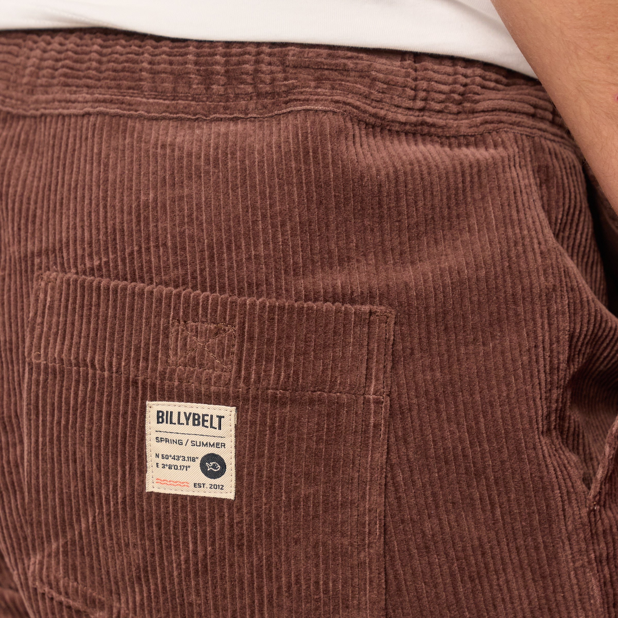 Short en velours BILLYBELT Brown