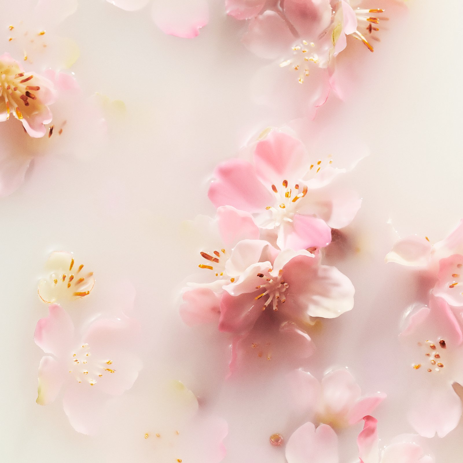 The Ritual of Sakura - Gel lavant pour les mains RITUALS No color