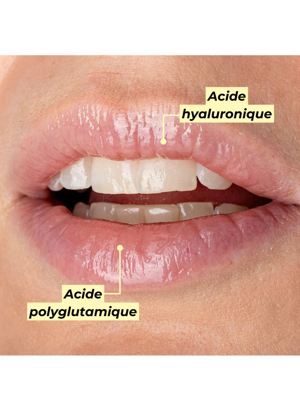 Gloss hydratant POMPONNE No color