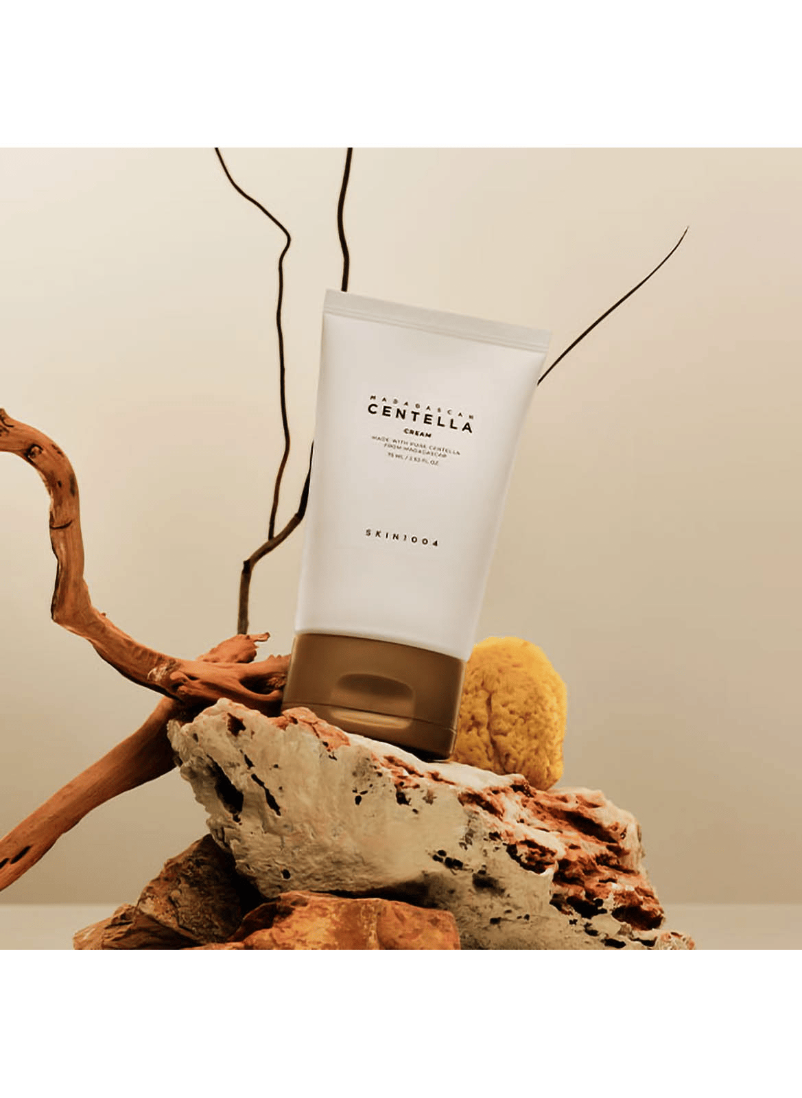 Moisturizing Cream with Centella Asiatica SKIN1004 No color