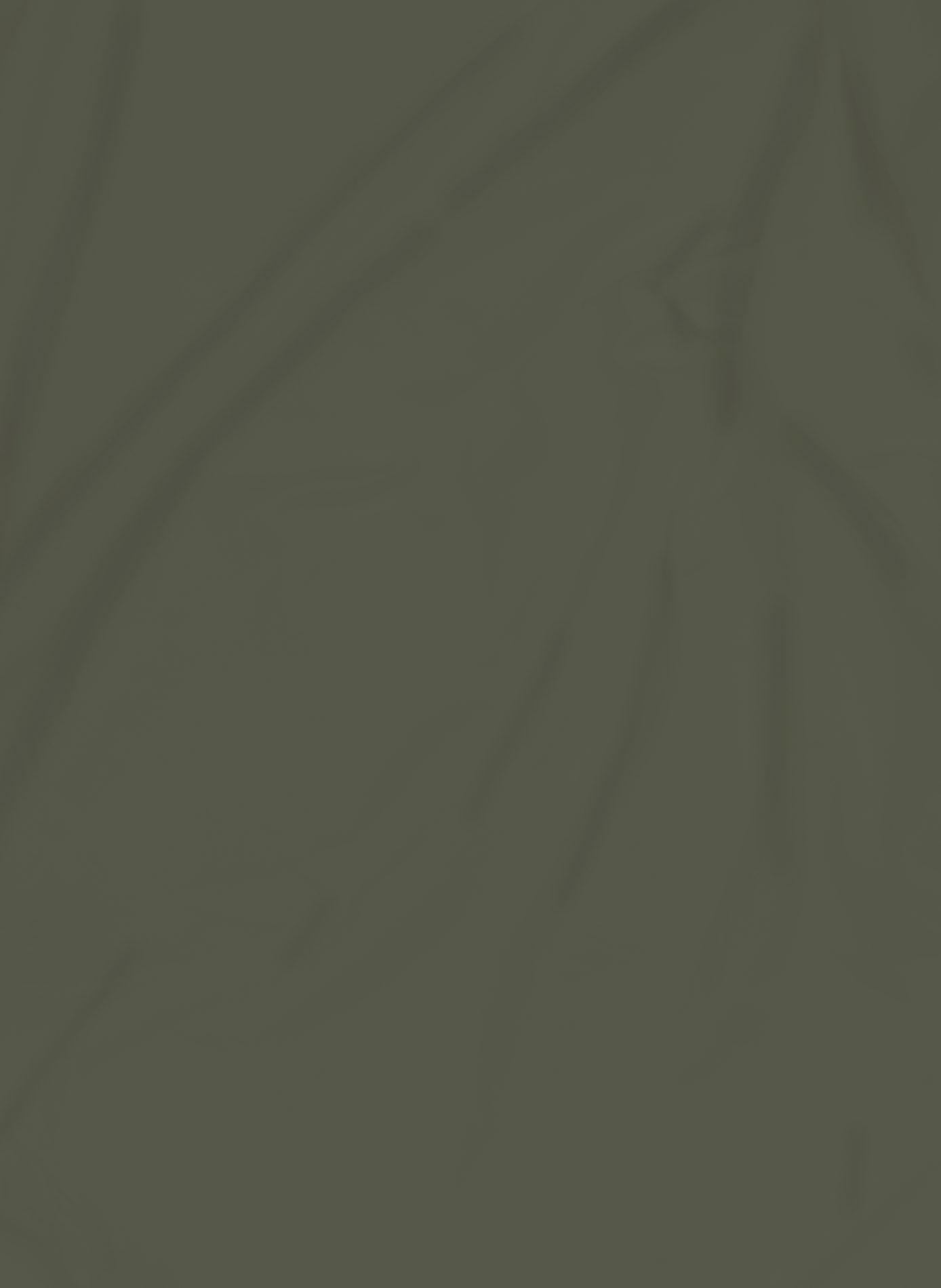 Cotton fitted sheet Green