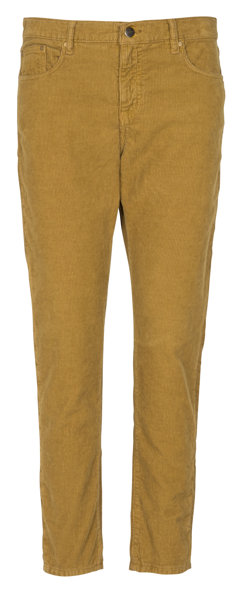 Gerade geschnittene Baumwoll-Cordhose ACQUAVERDE Braun