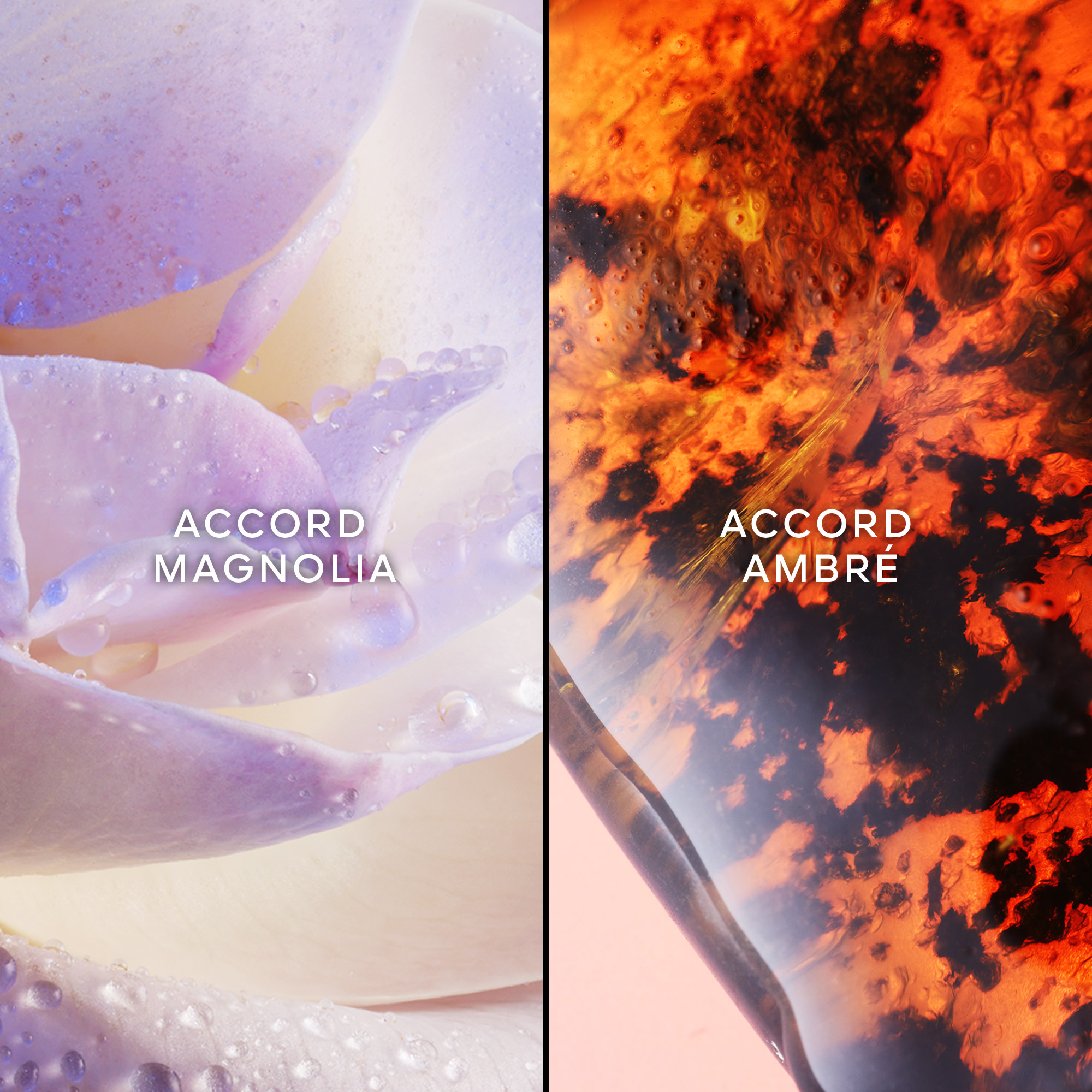 L'Instant de Guerlain Eau de Parfum GUERLAIN No color