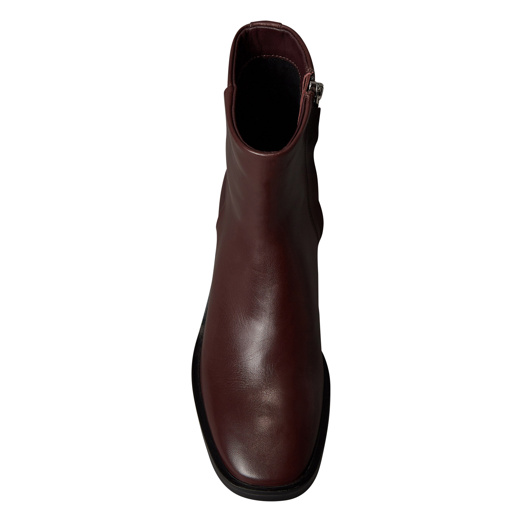 Bottines en cuir CALVIN KLEIN Violet