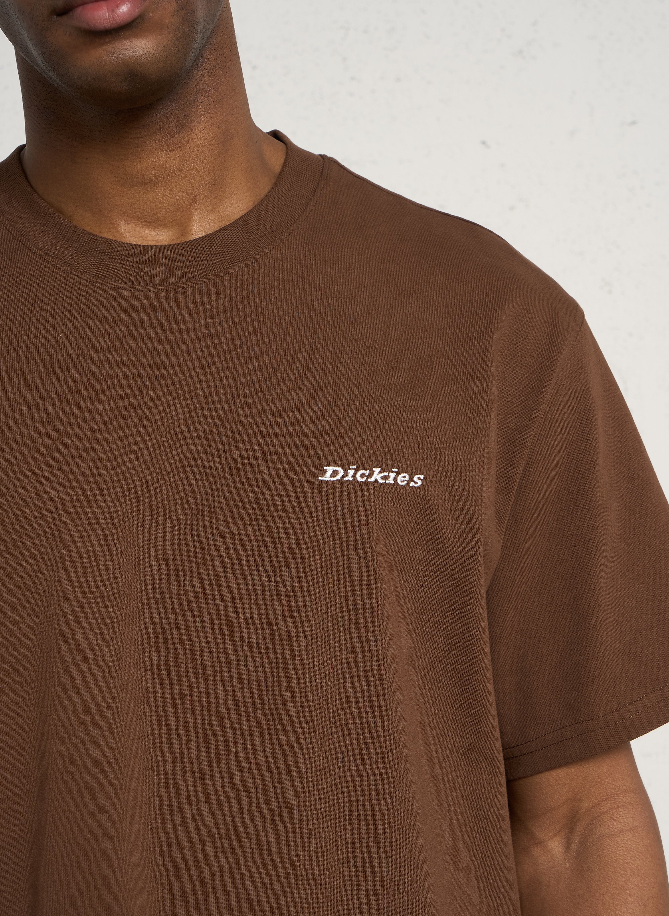 Ruimvallend, katoenen T-shirt met ronde hals en borduursel DICKIES Bruin