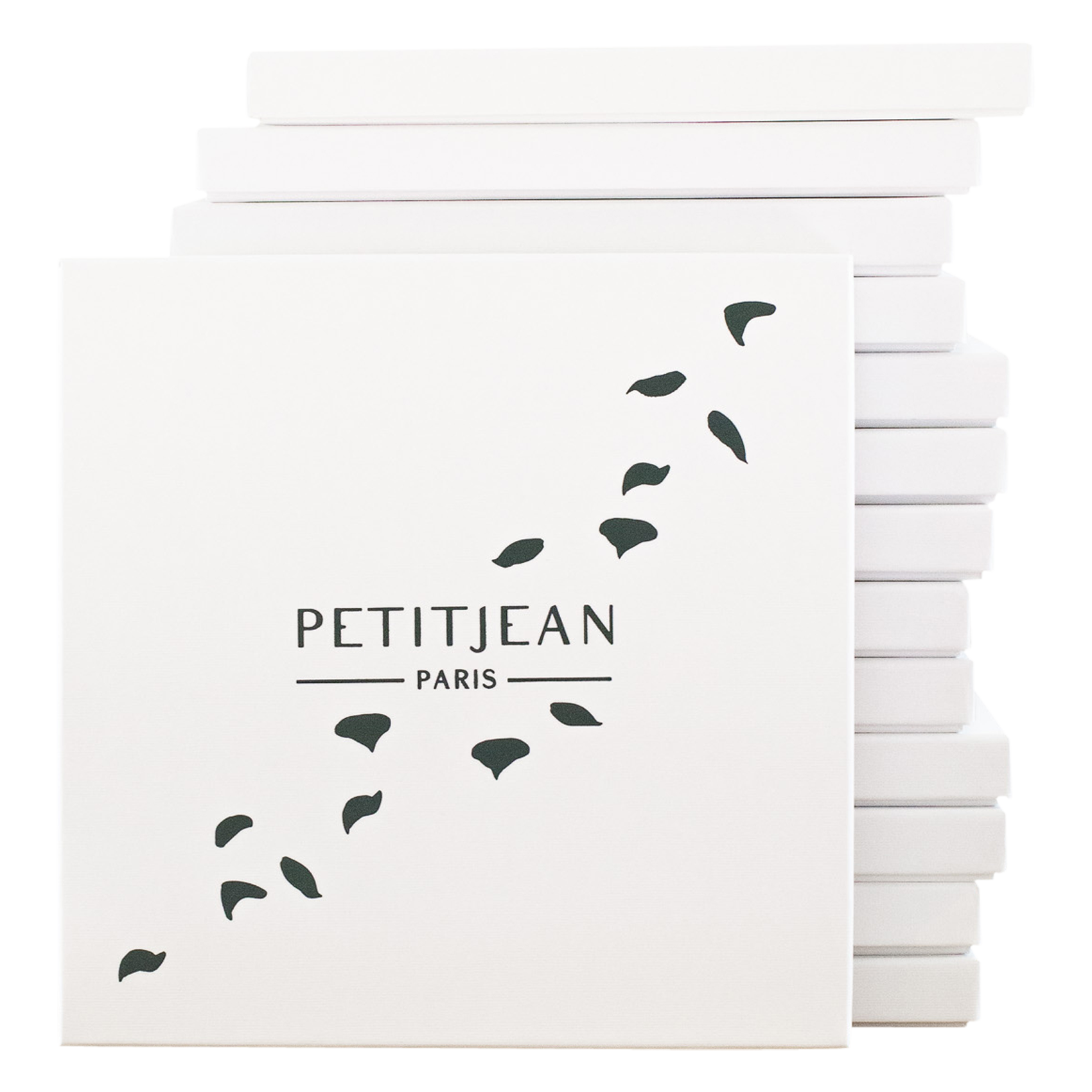 Aclaudie screen-printed silk scarf PETITJEAN PARIS Blue