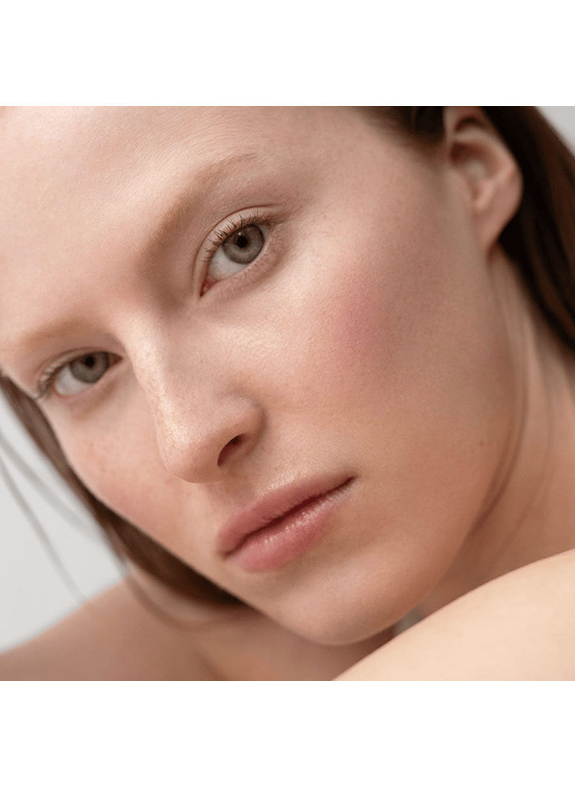 Foundation 002 pignon de pin