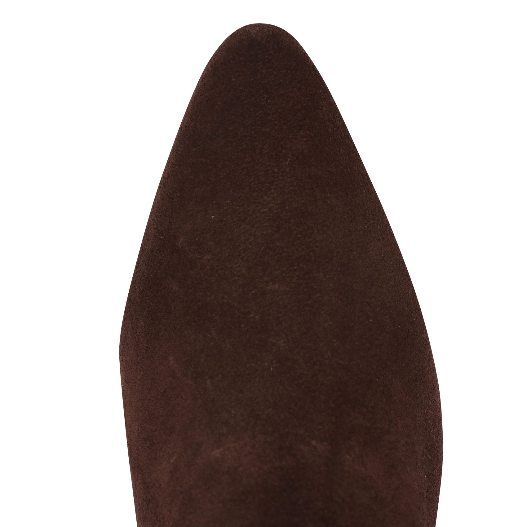 Spitze Lederstiefeletten ANTHOLOGY PARIS Braun