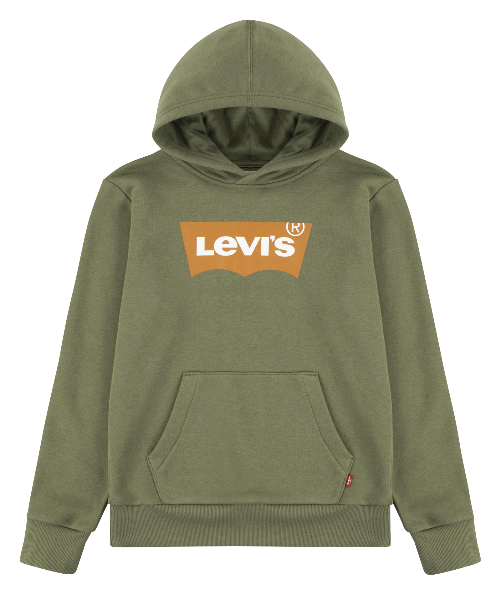 Sweat à capuche droit en coton mélangé LEVI'S KIDS Vert