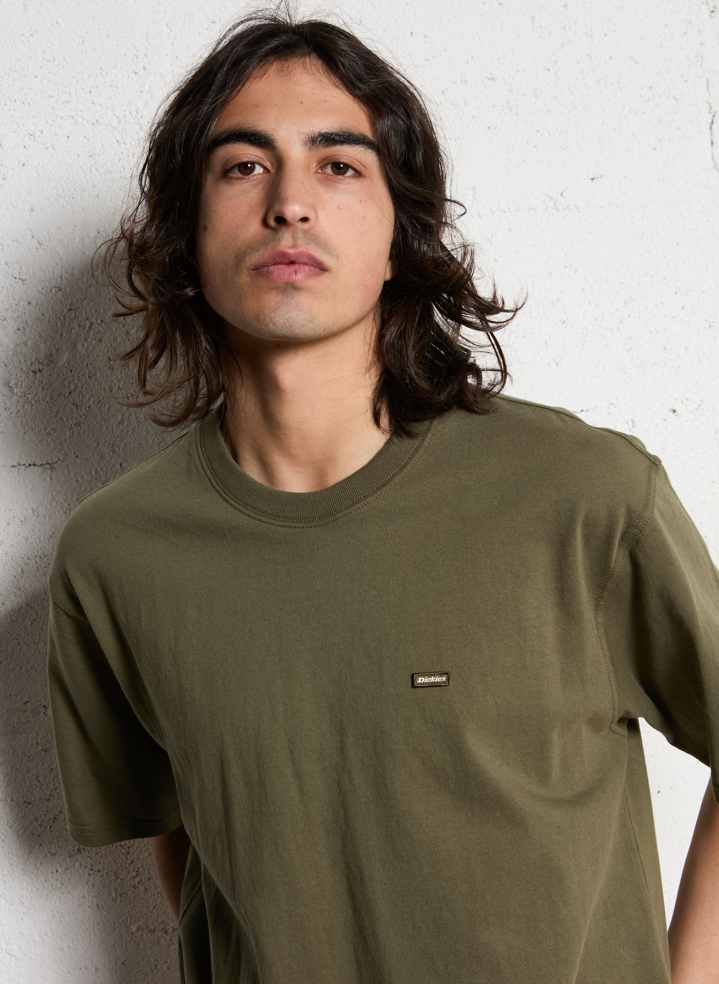 Short-sleeved straight cotton t-shirt DICKIES Khaki