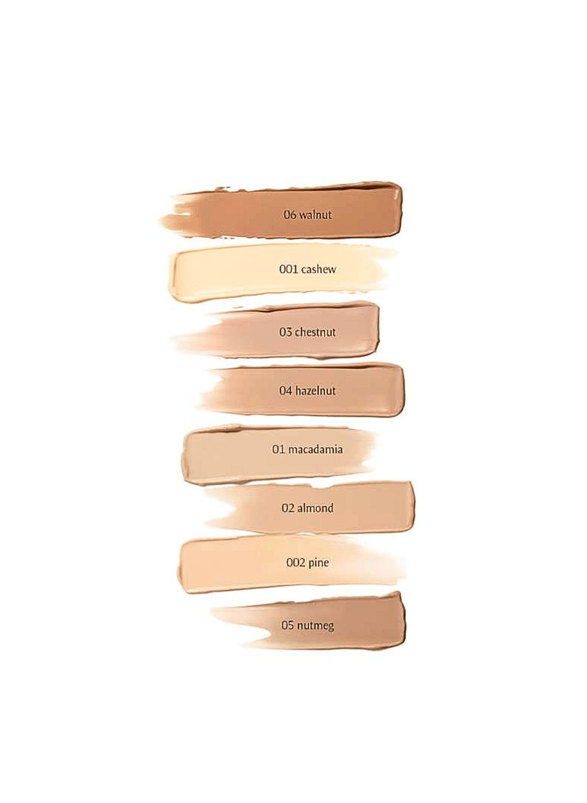 Foundation 002 pignon de pin