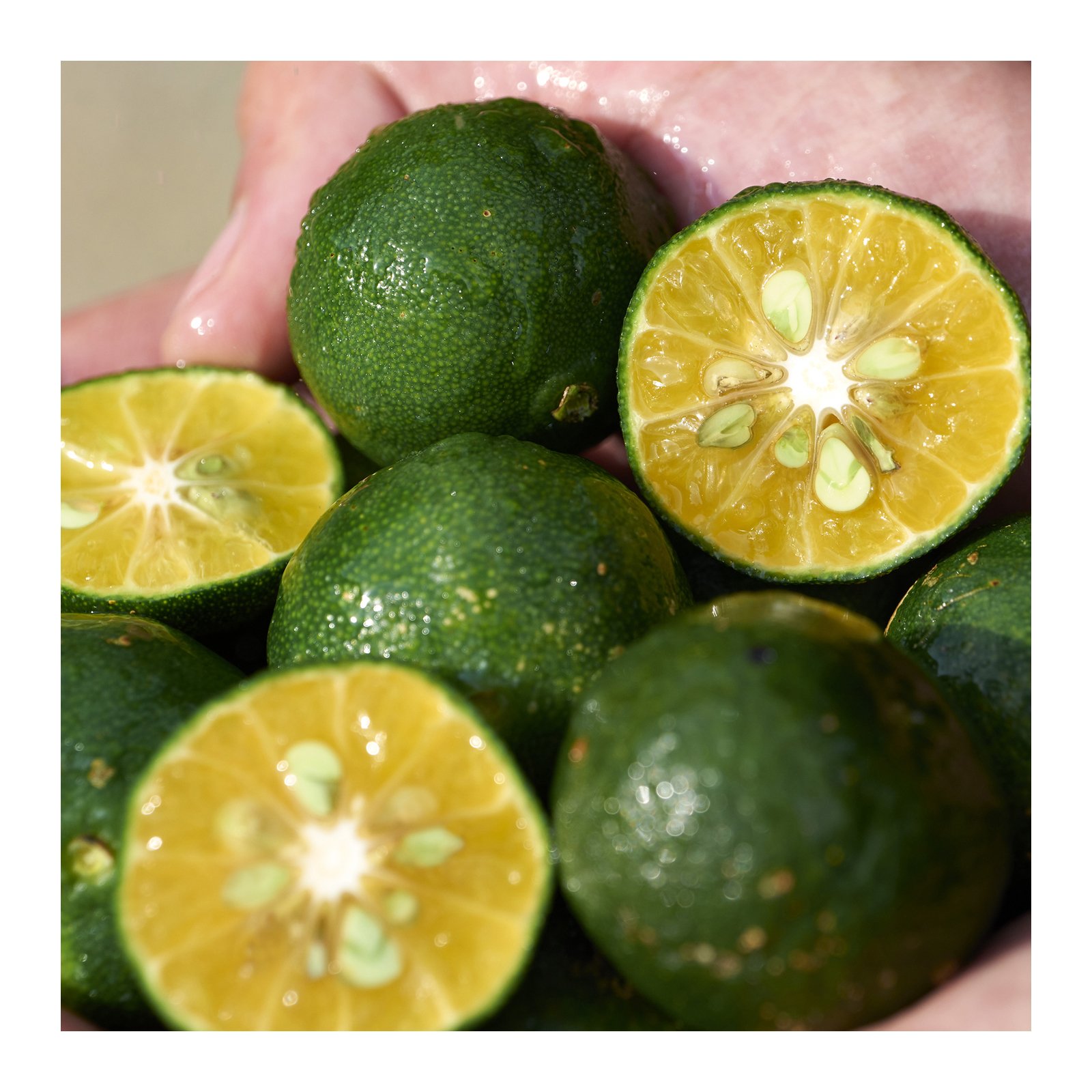 WASO NETTOYANT GEL-EN-HUILE SHISEIDO No color