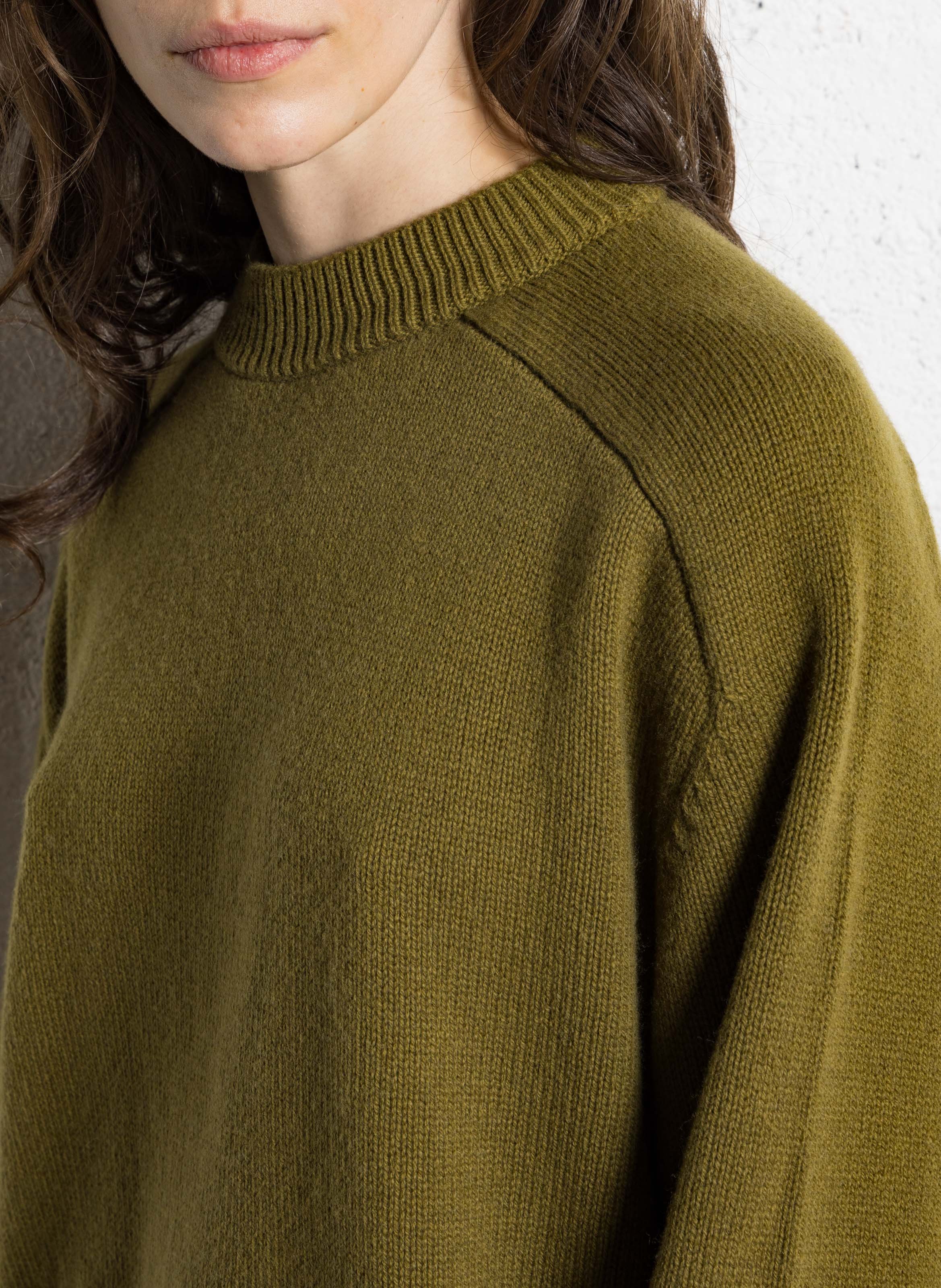 Gestreepte wollen trui SOEUR Bruin