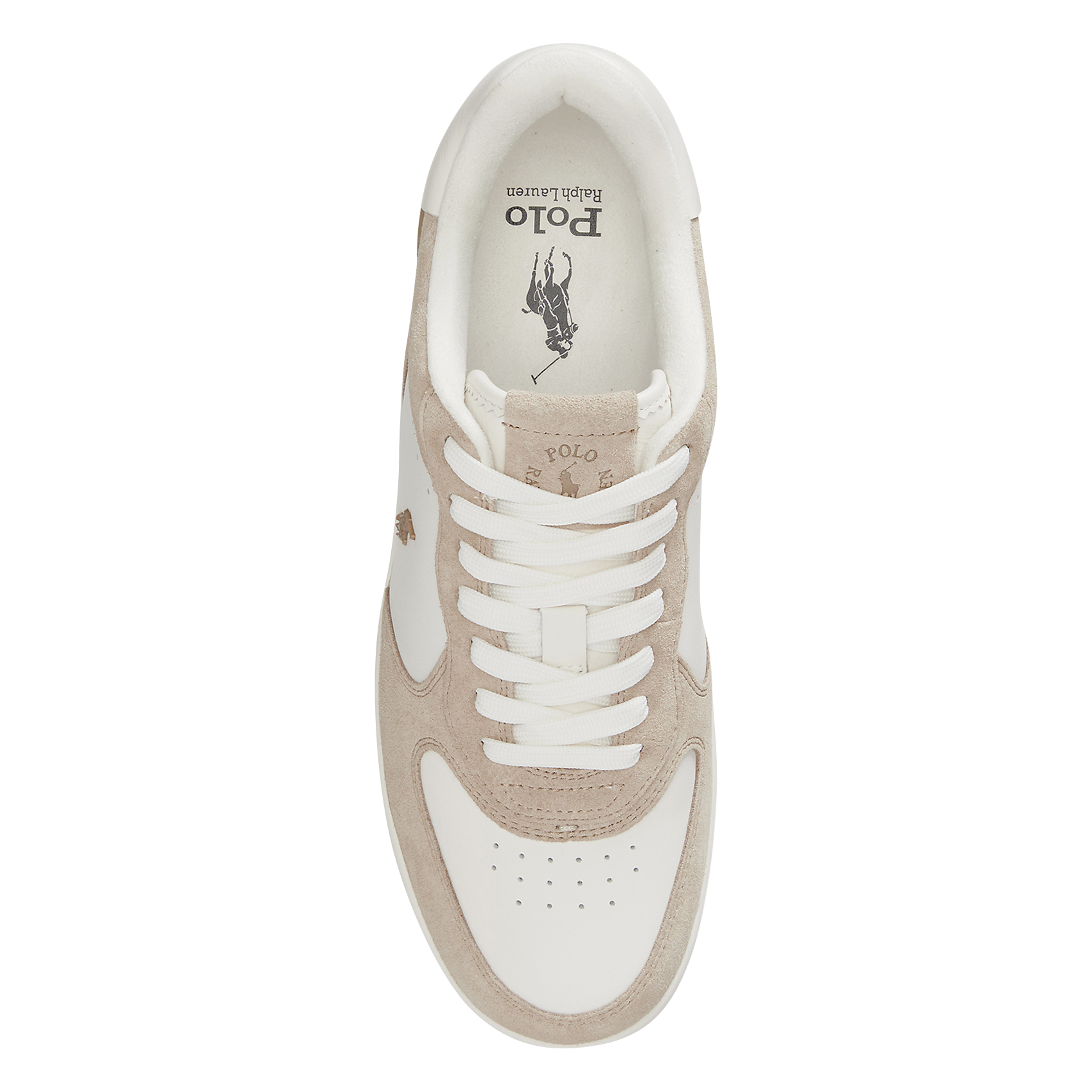Niedrige Ledersneaker mit Logo POLO RALPH LAUREN Beige