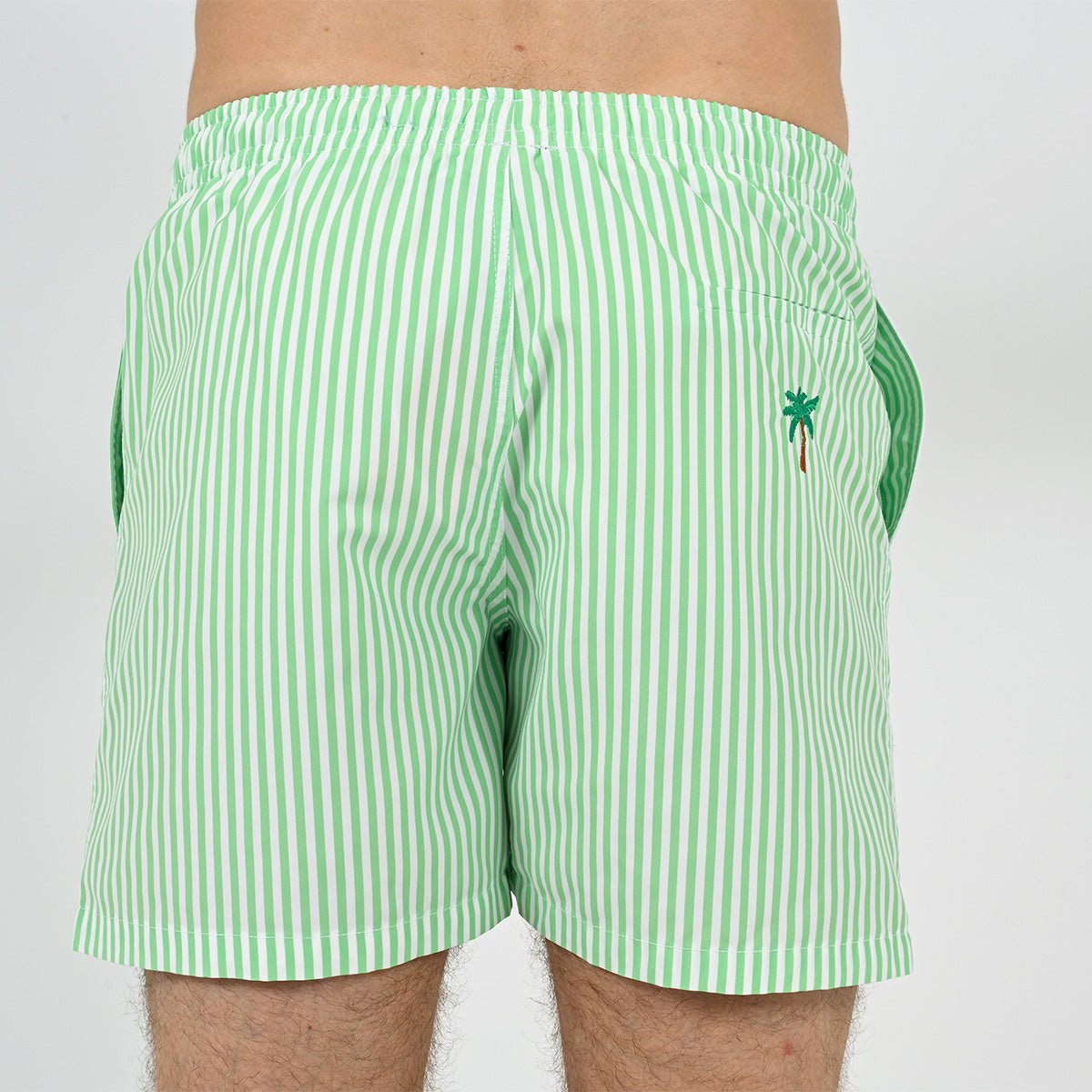 Exotic Striped Swim Shorts VENDREDI SWIMWEAR Green
