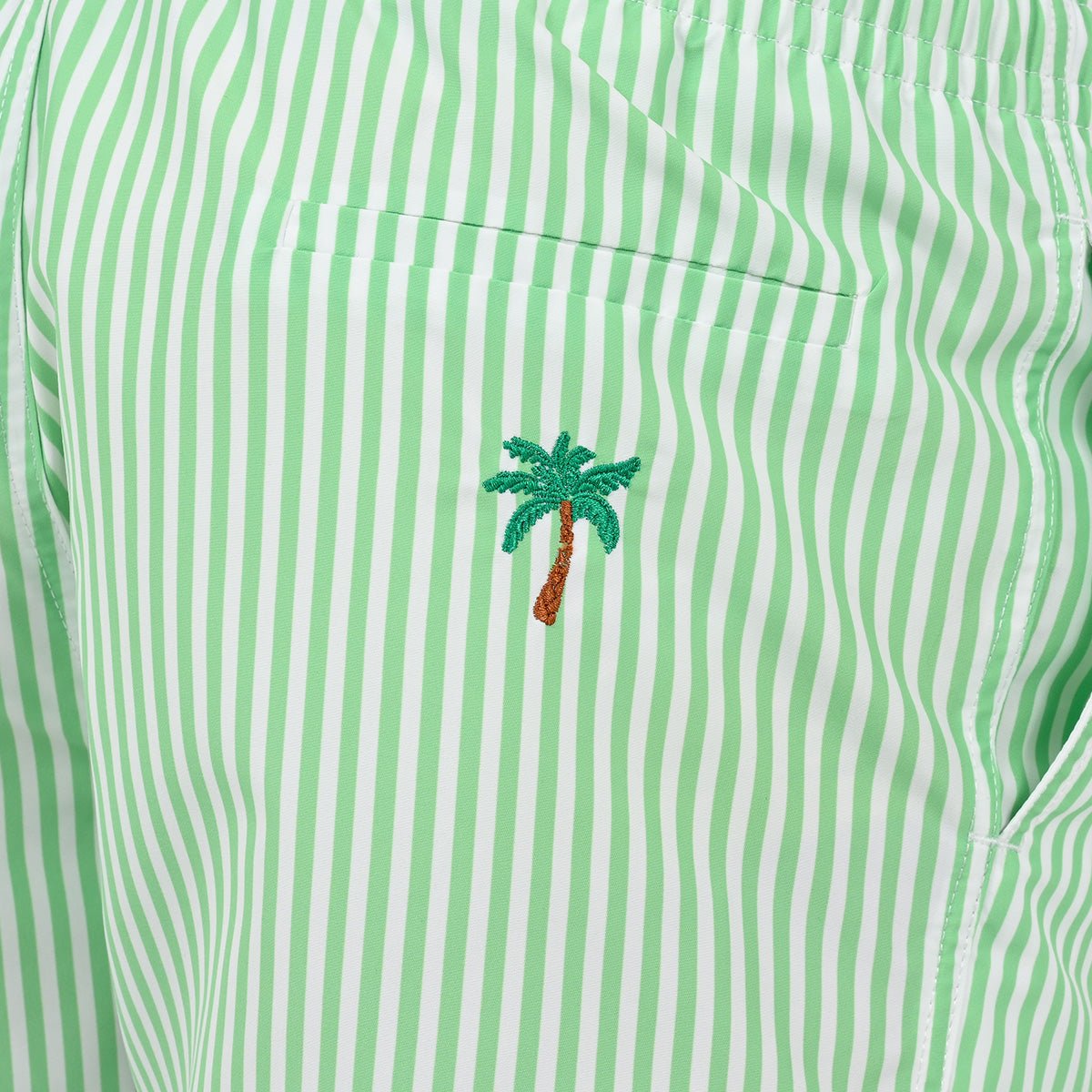 Exotic Striped Swim Shorts VENDREDI SWIMWEAR Green