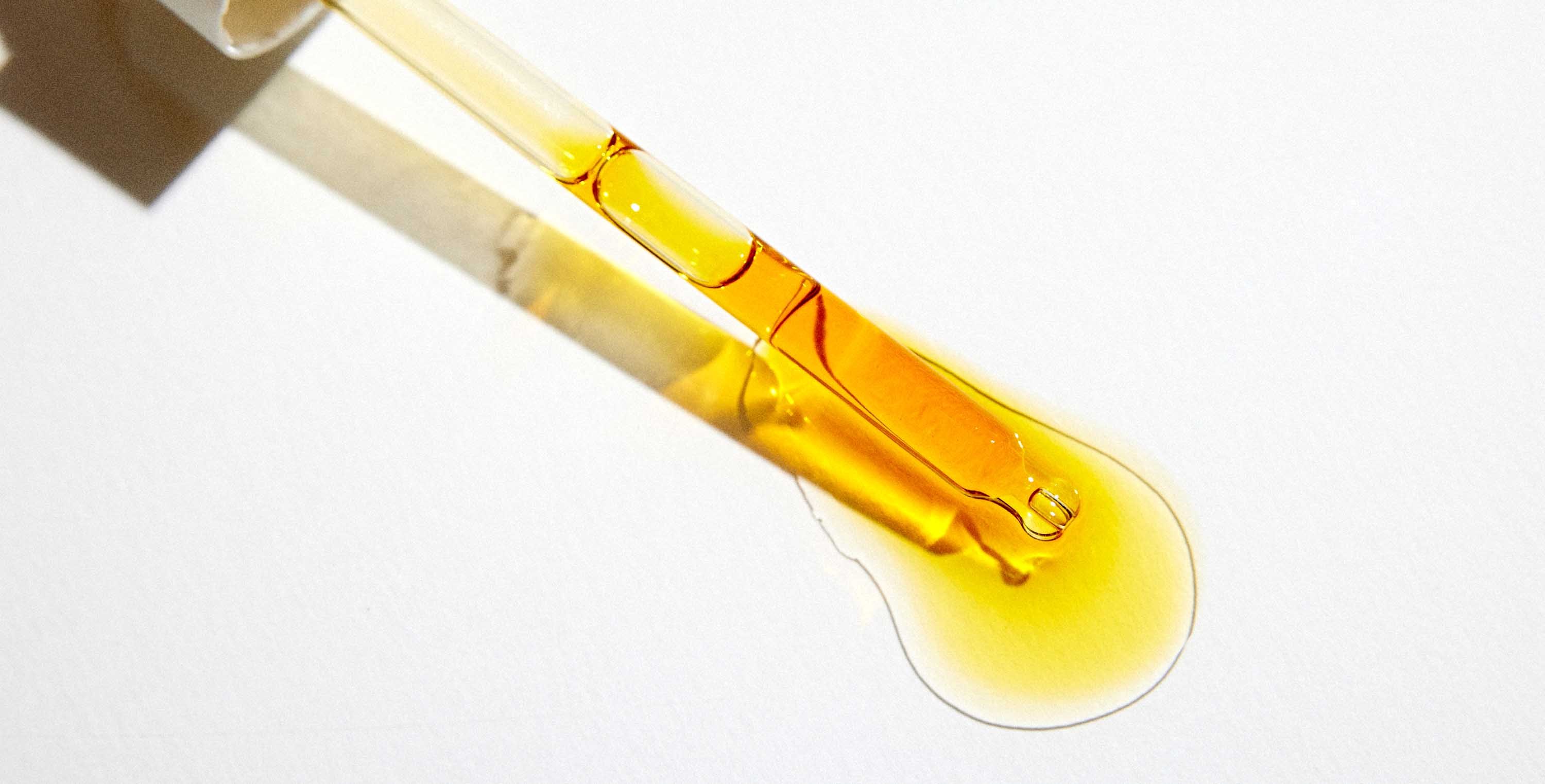 PAX ABSOLUTION No color