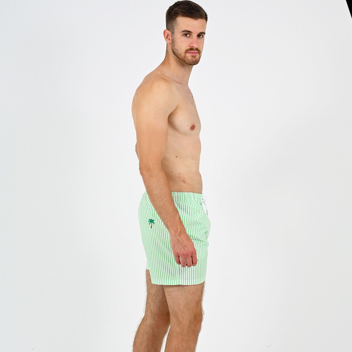 Exotic Striped Swim Shorts VENDREDI SWIMWEAR Green