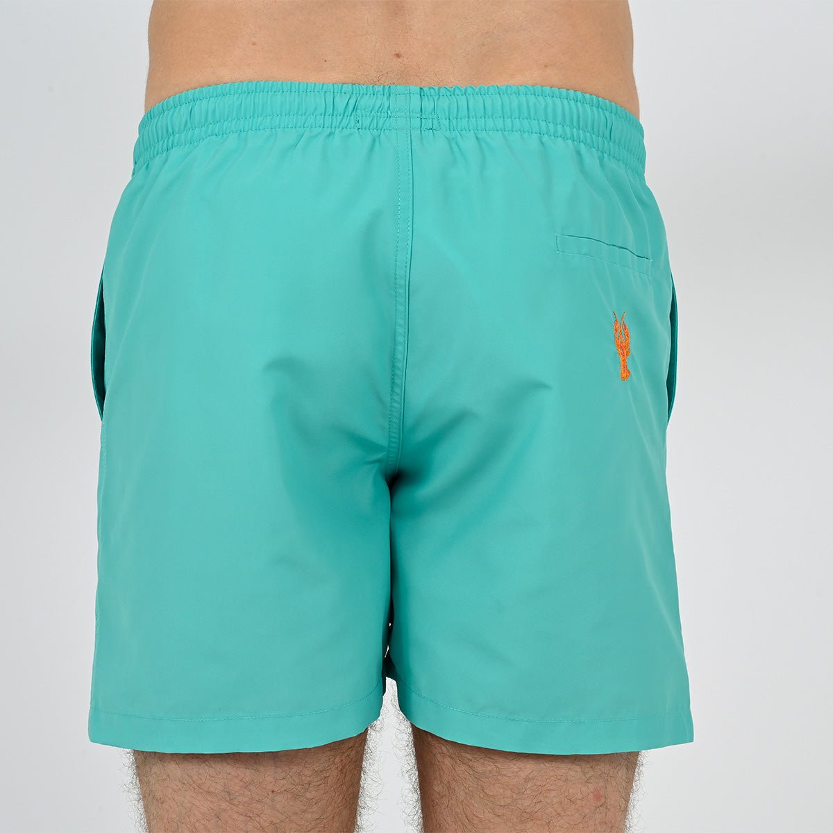 Aqua solid swim shorts VENDREDI SWIMWEAR Green