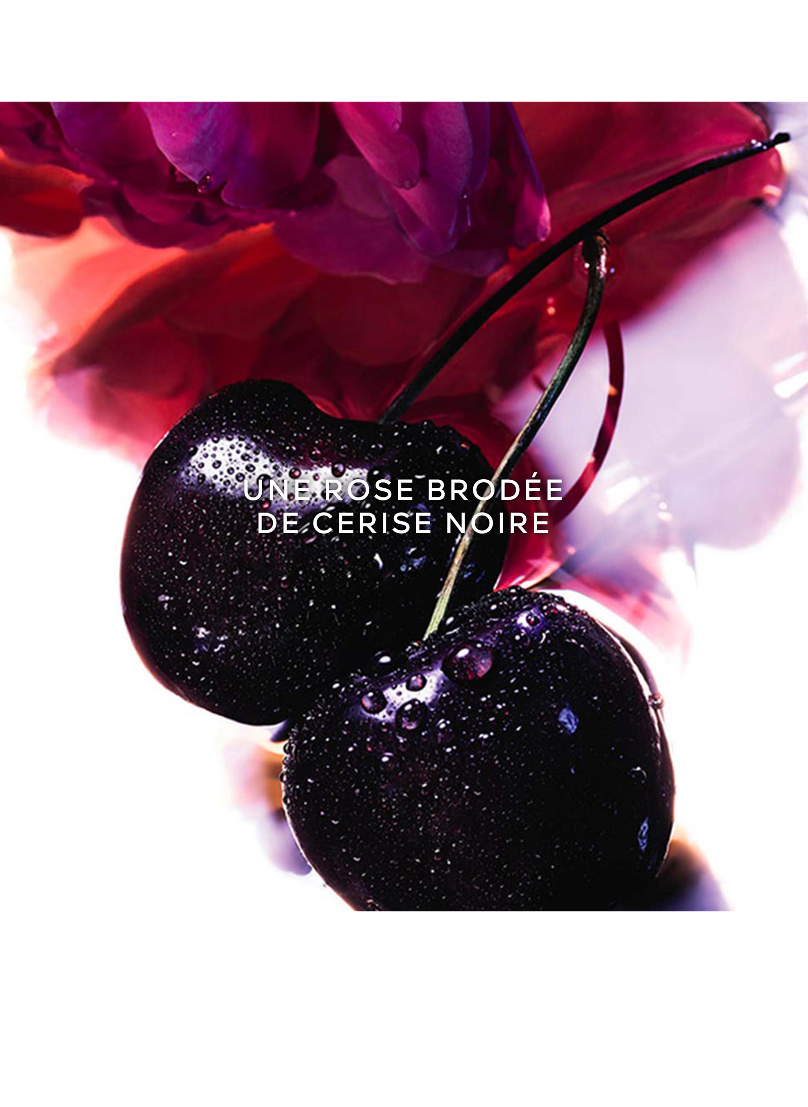 LA PETITE ROBE NOIRE - Eau de Parfum, Geschenkbox GUERLAIN No color