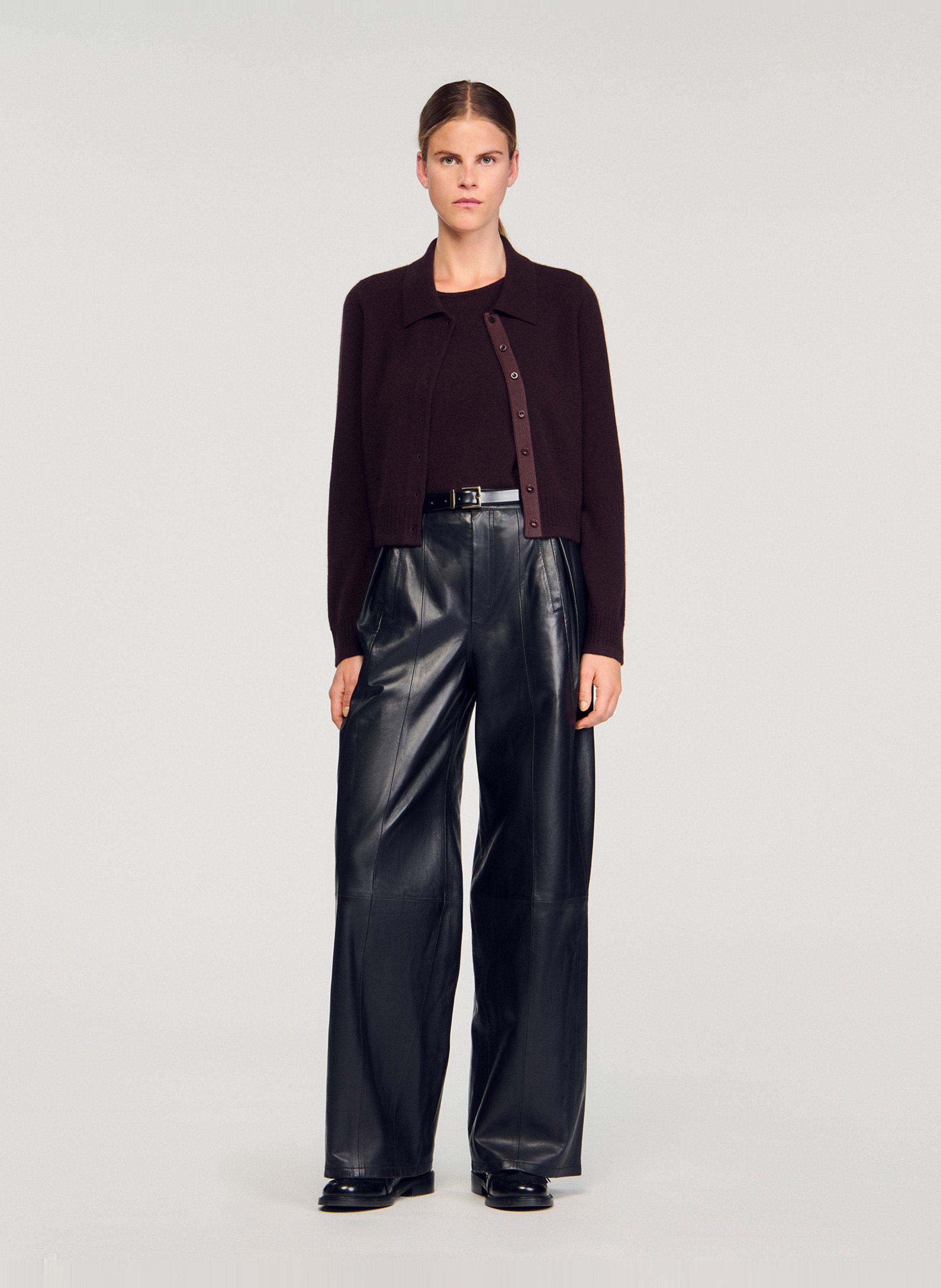 Rechte cardigan met klassieke kraag van wol en kasjmier. SANDRO Bruin