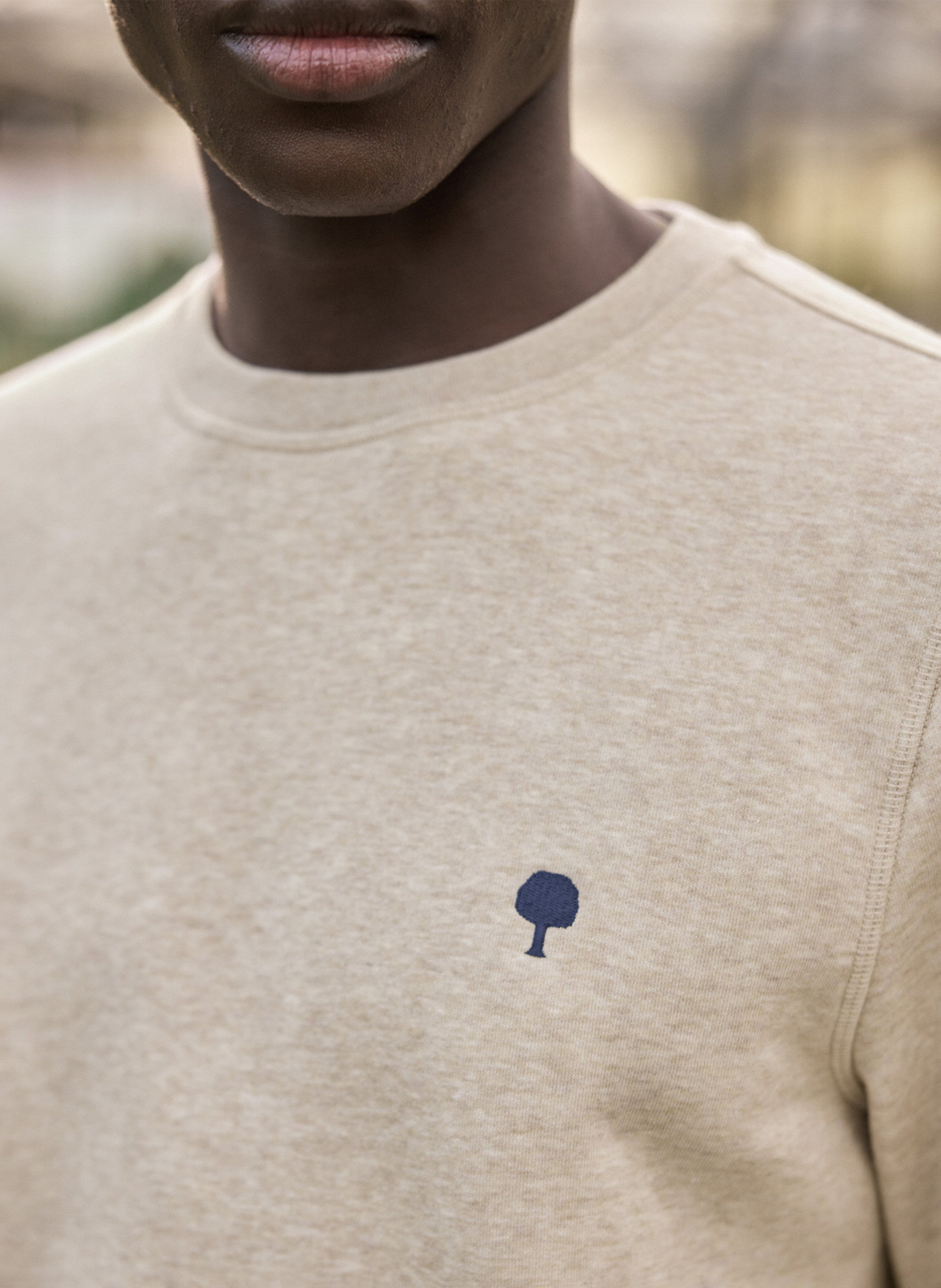 Gerade geschnittenes Sweatshirt aus Baumwoll-Mix | Beige FAGUO Herren