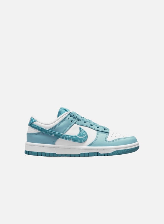 Basket Chaussure Nike Femme 2021 Baskets Dunk Low Wmns