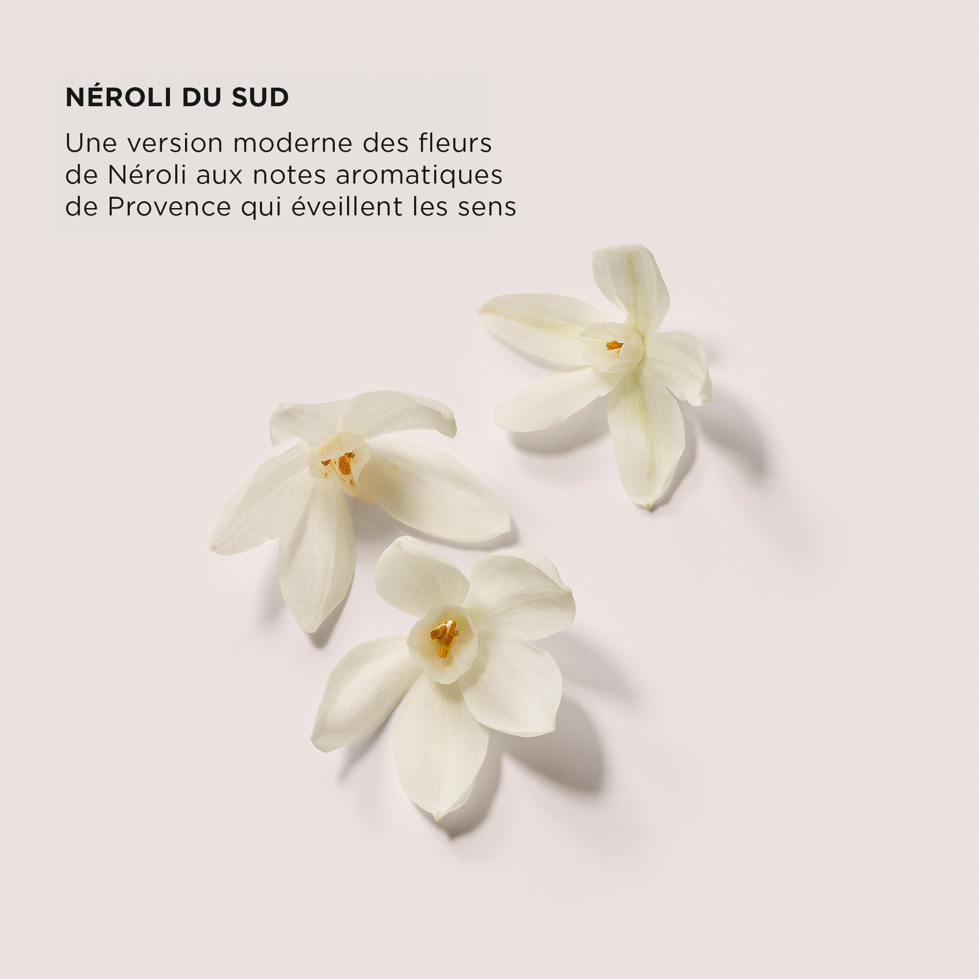 SERUM BODY CREAM - NEROLI LAURA MERCIER No color